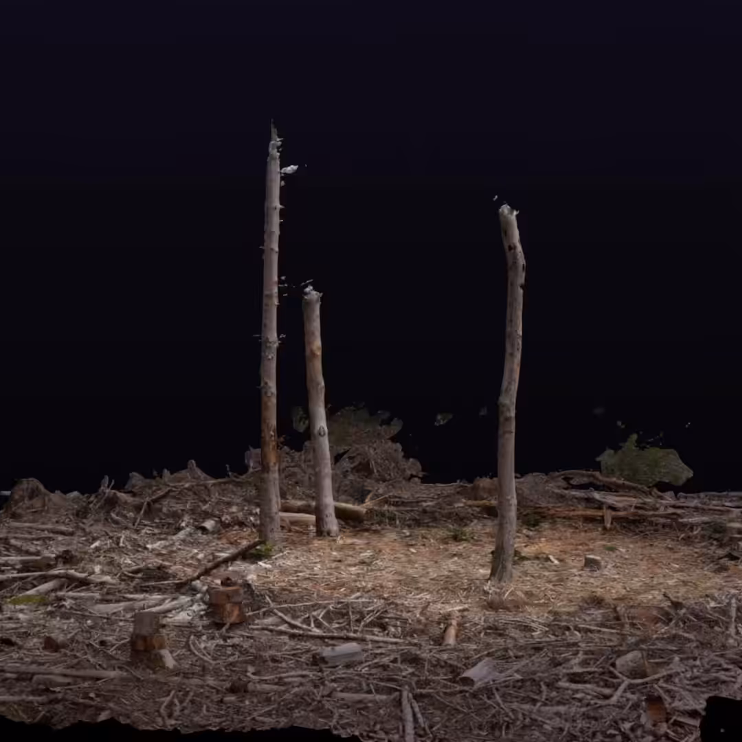 Diorama: The_Plot / Three Trees, day/night sequence