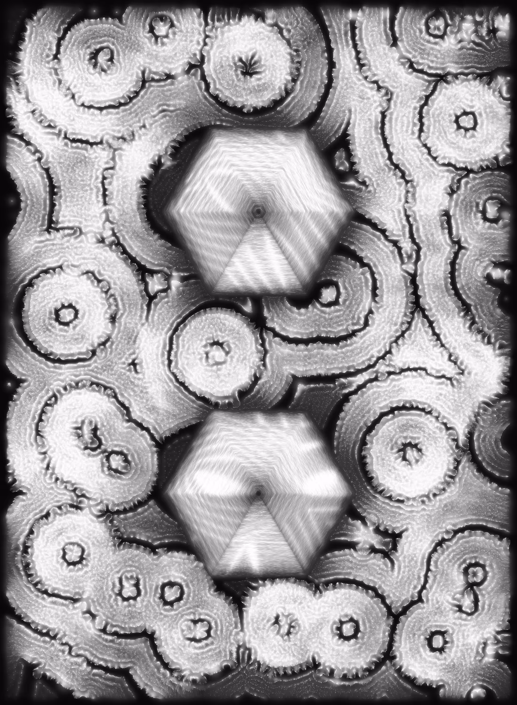 Holons #137