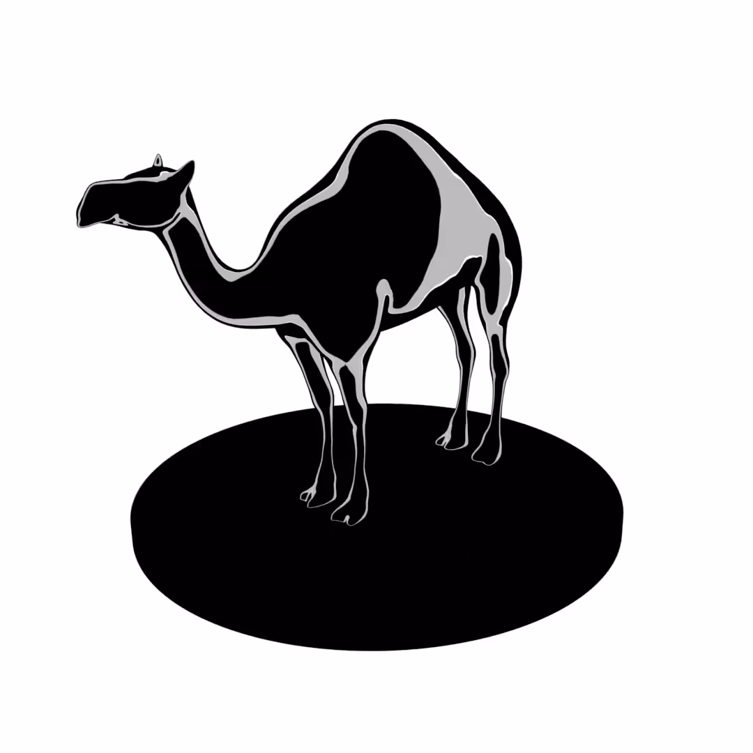 Silhouette Camel