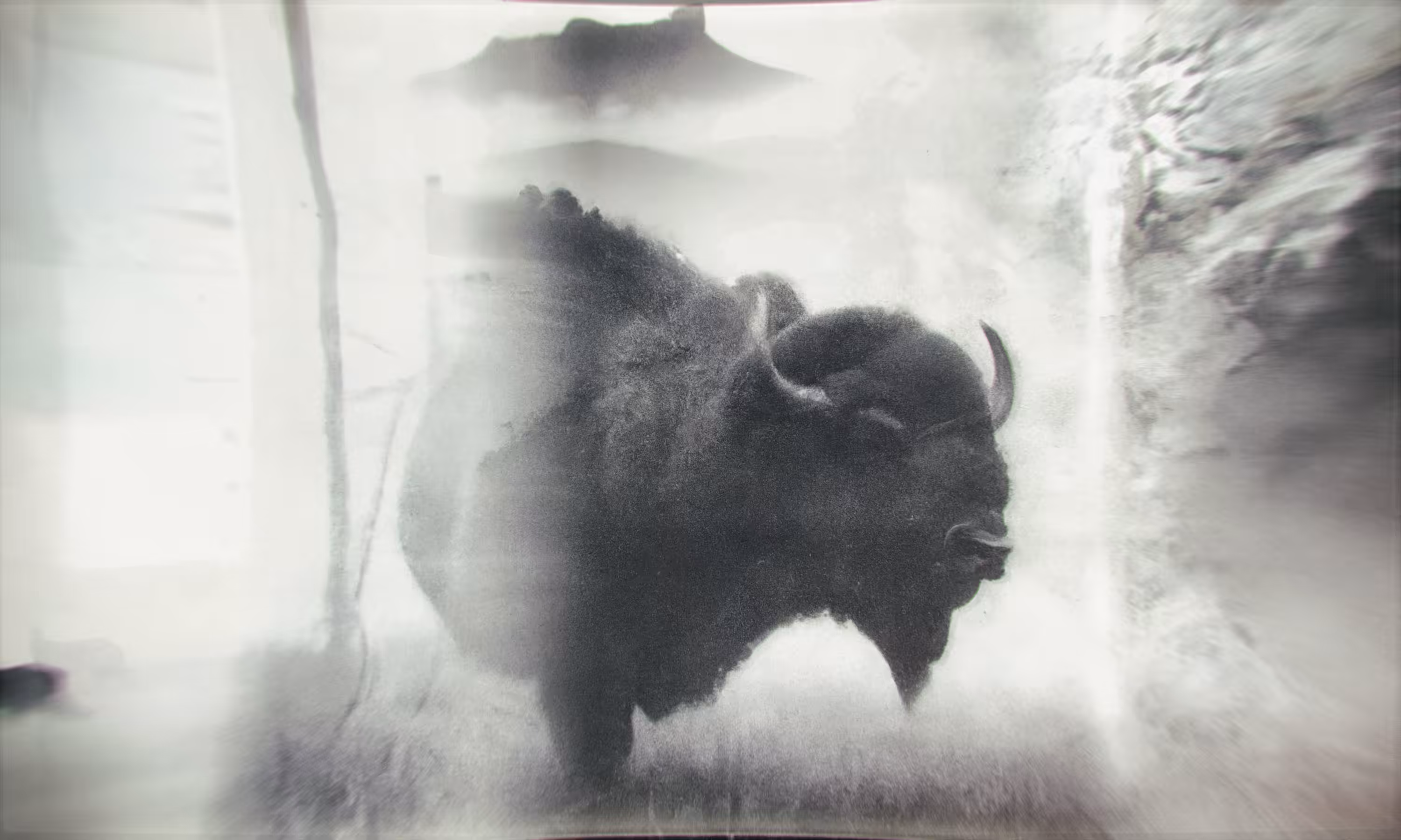 Lith #2 (The Bison)