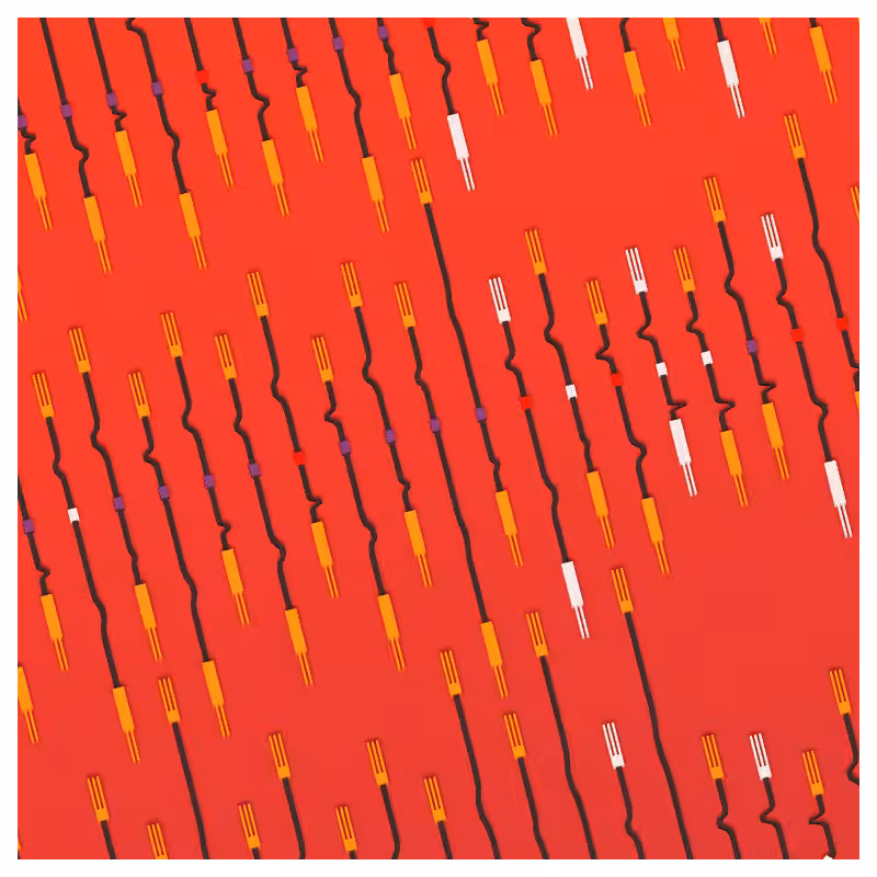 Neural Collapse #56