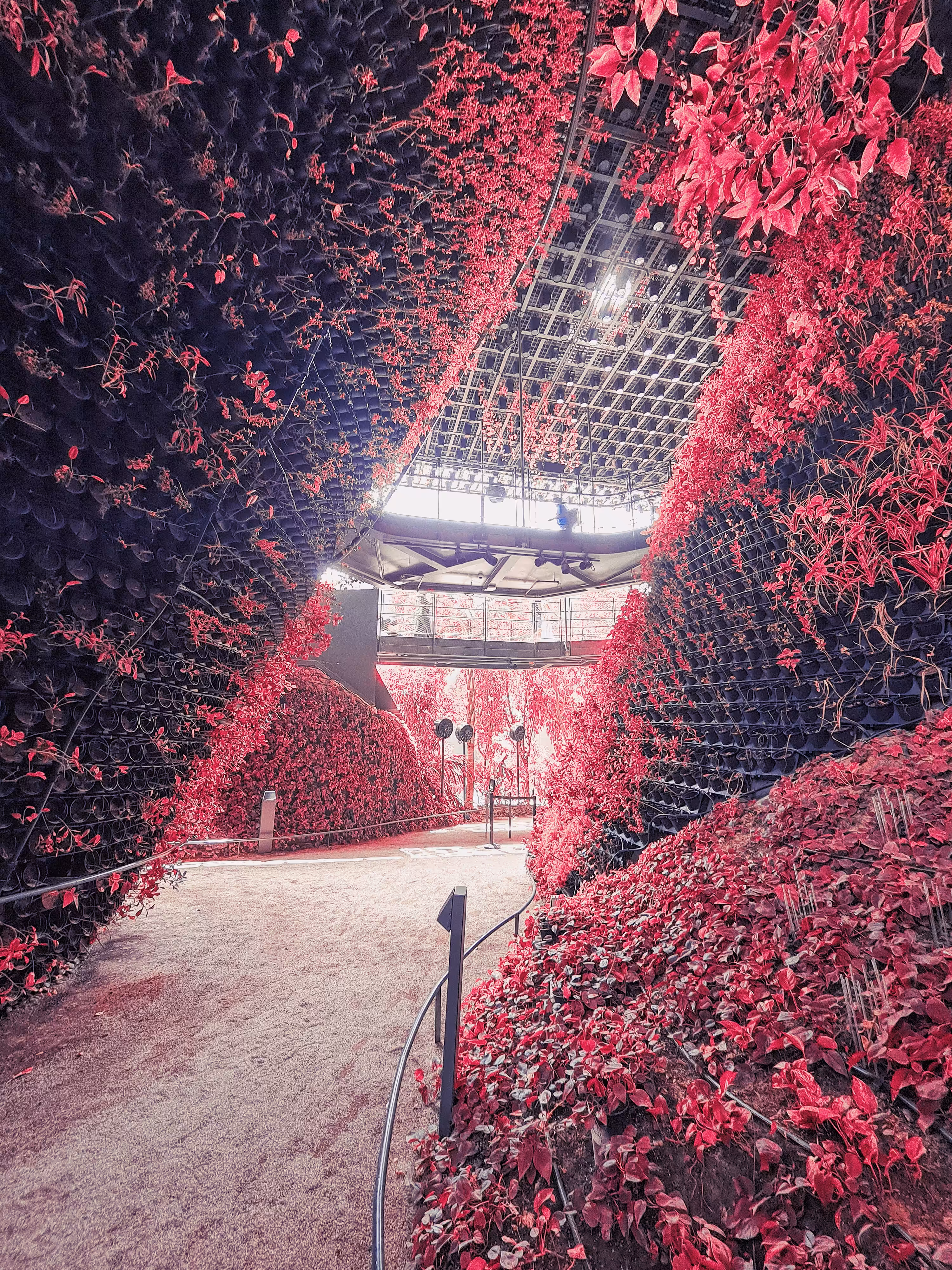 EXPO (05)