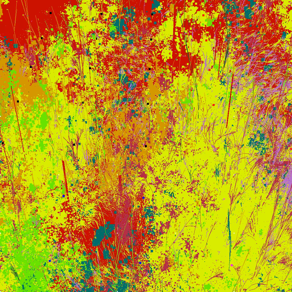 Infinite Garden: 88752 Flowers