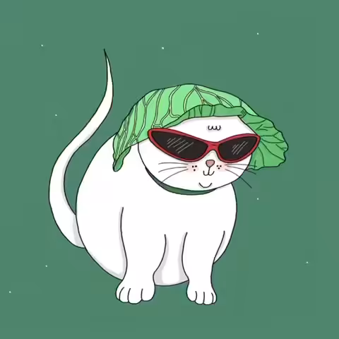 Cool boy