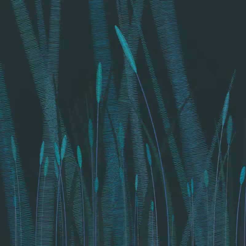 ZigZag Garden #11