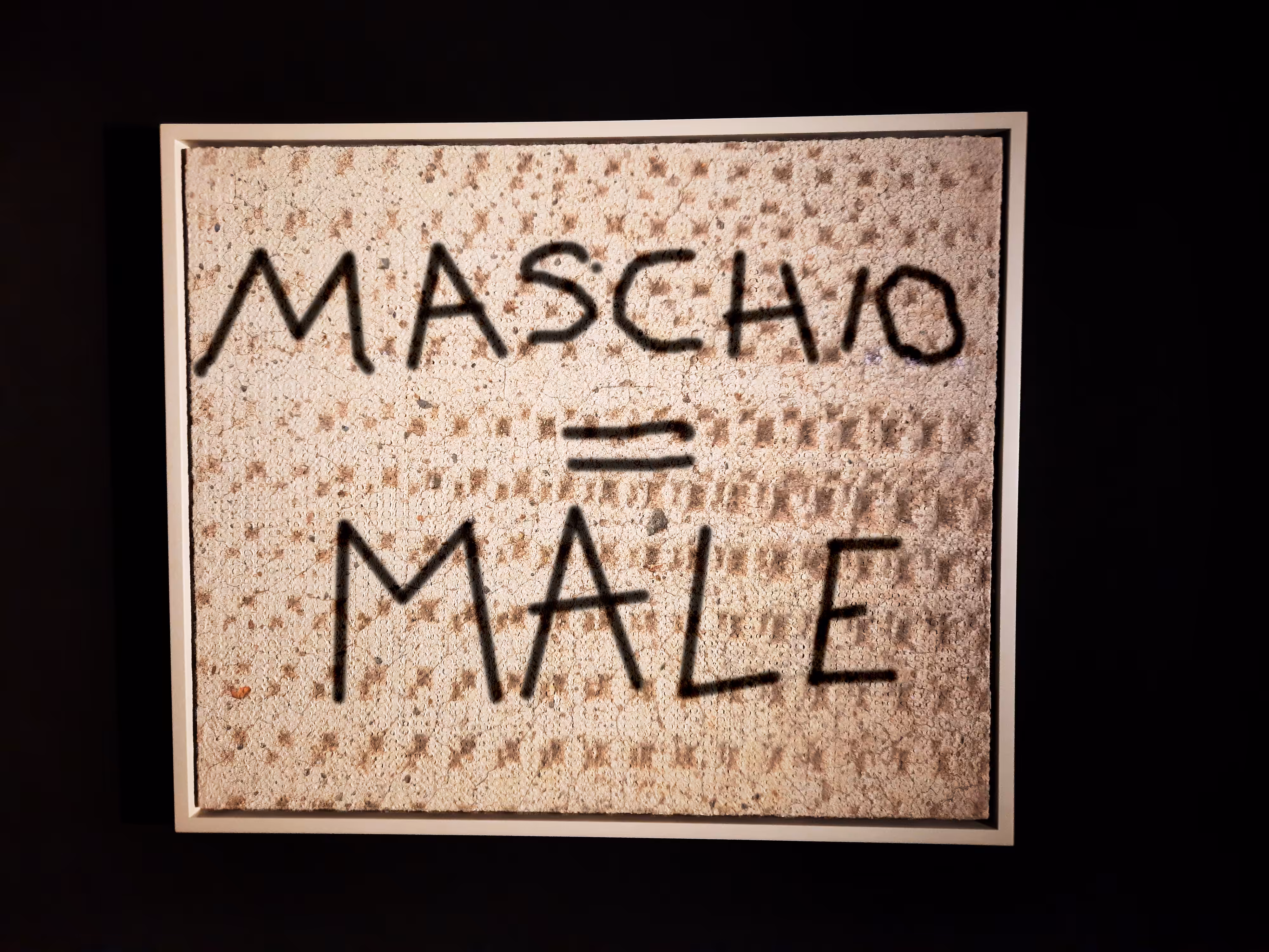 MASCHIO = MALE