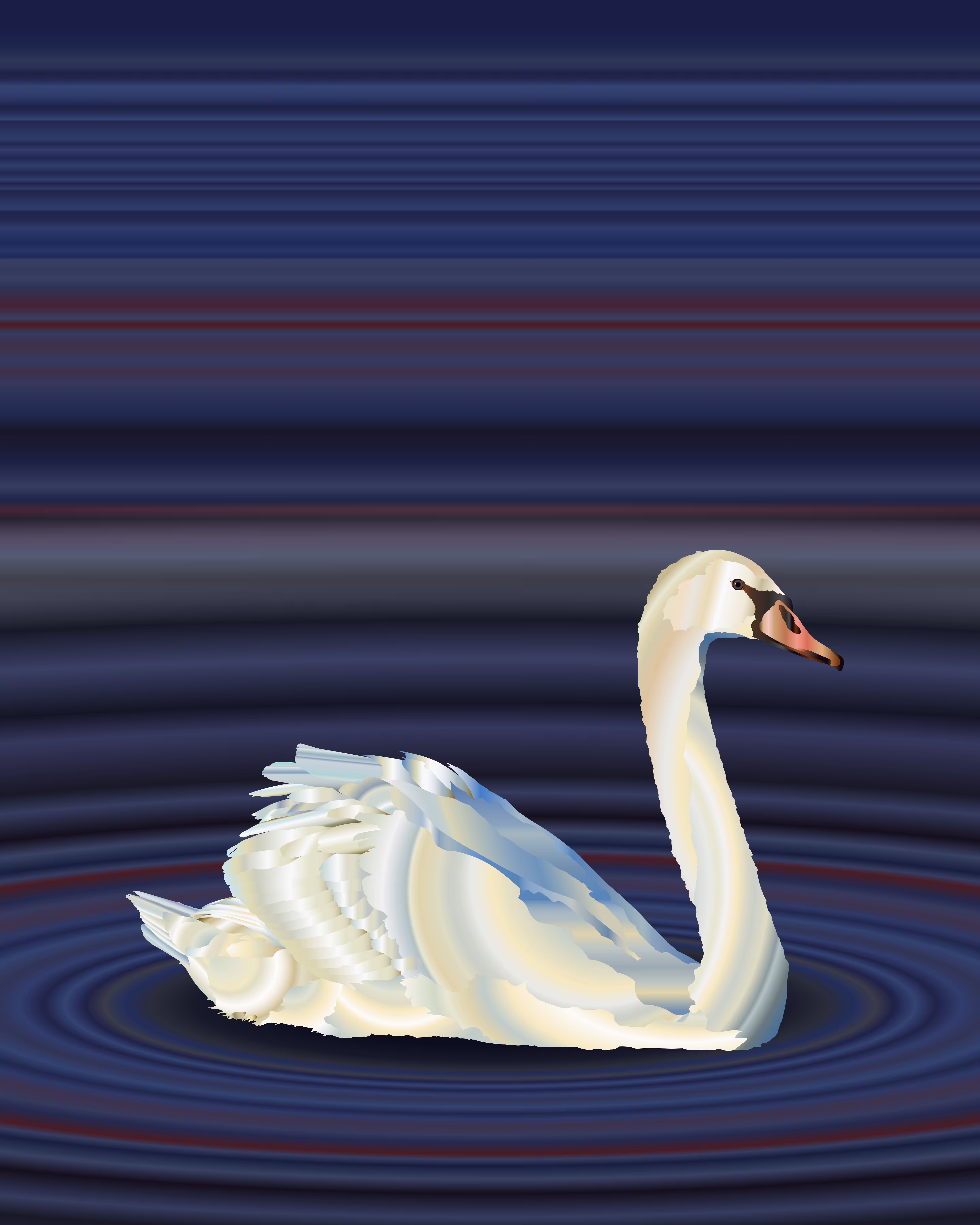 Swan
