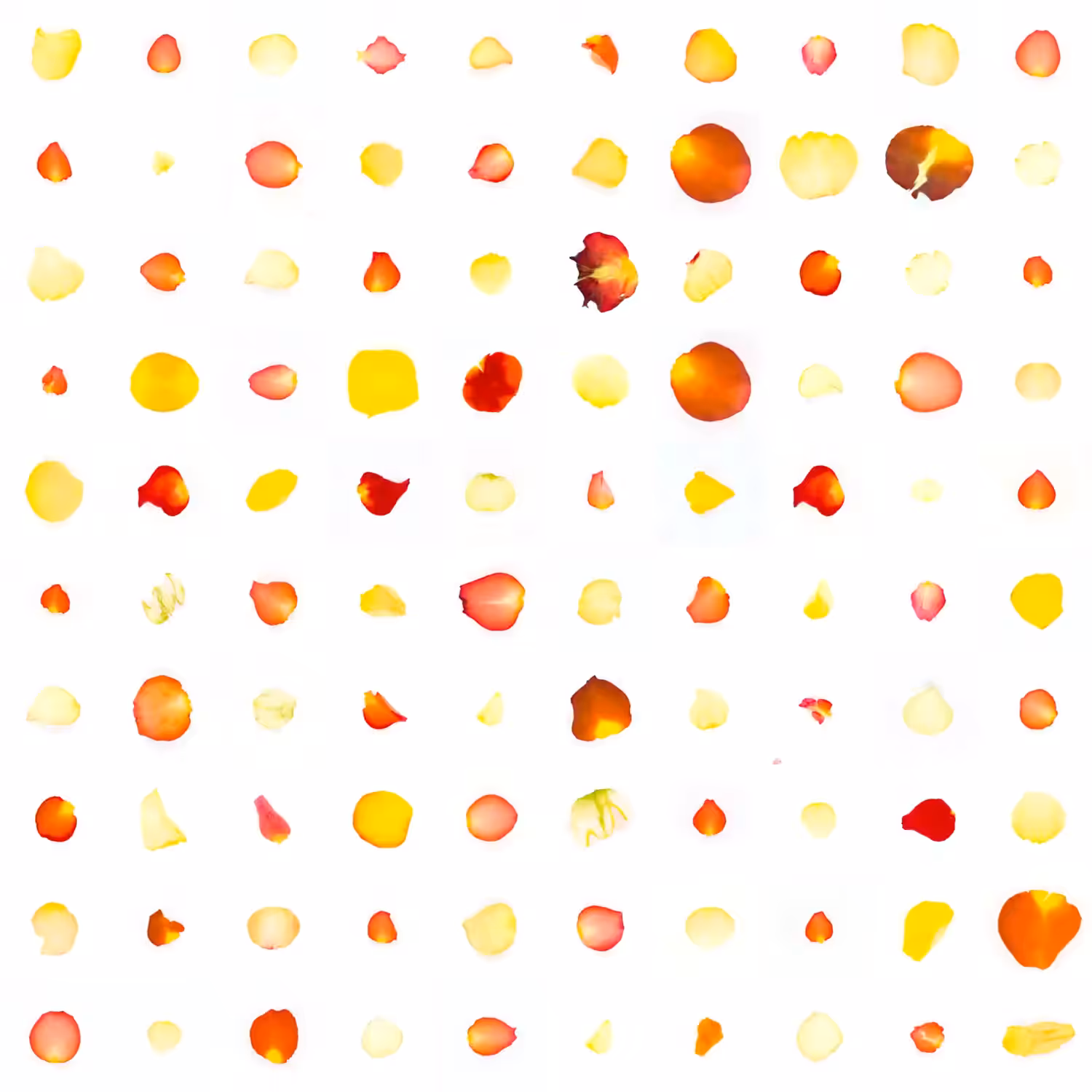 Infinite Petals 10x10#683
