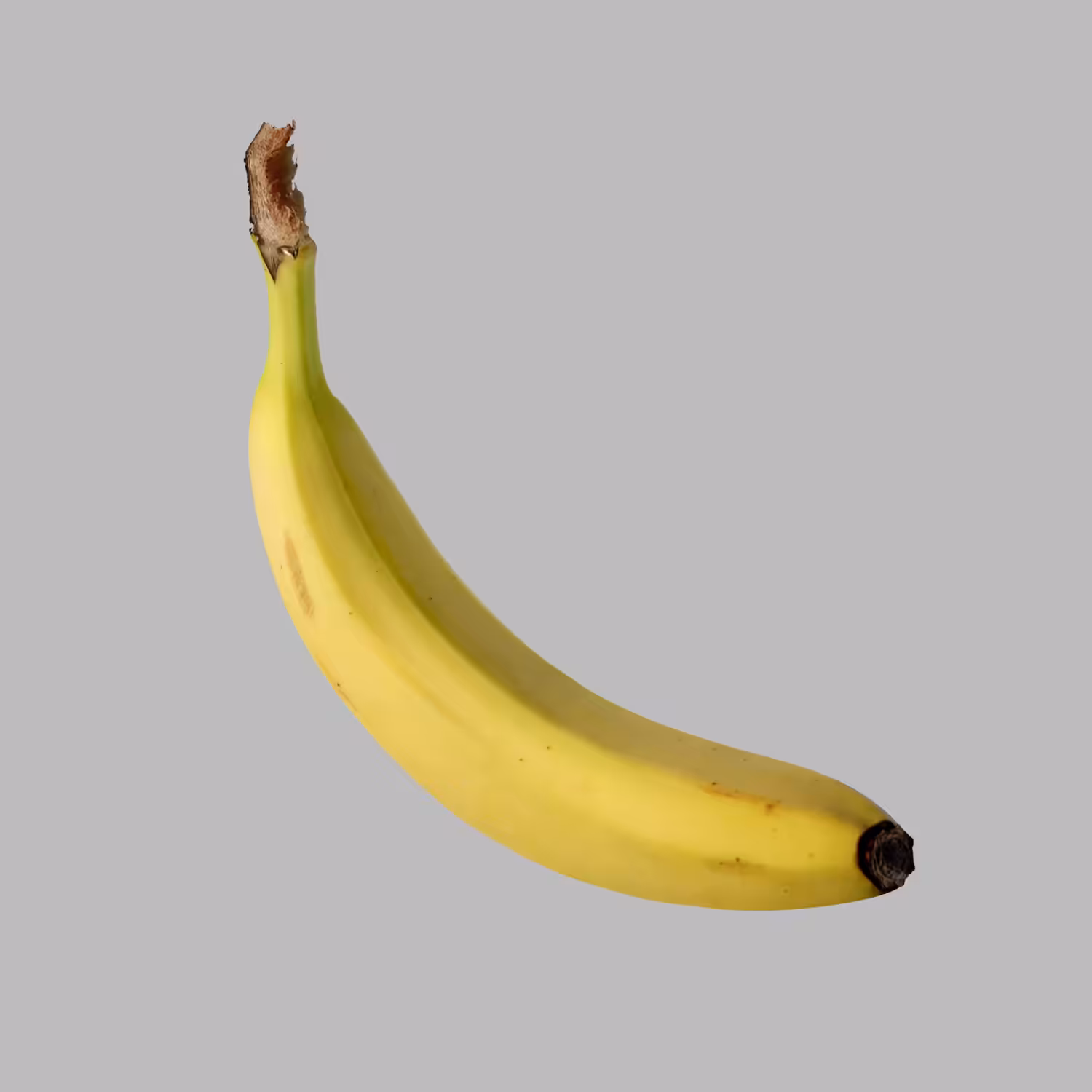 Shape Study 12