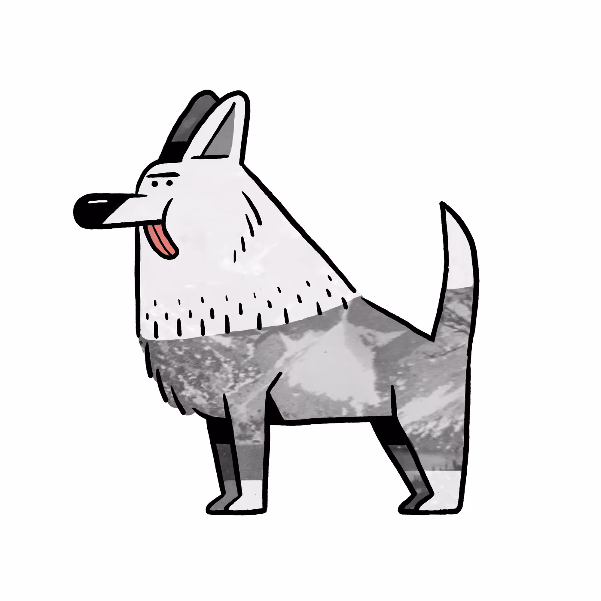 MOUNTAIN DOGU
