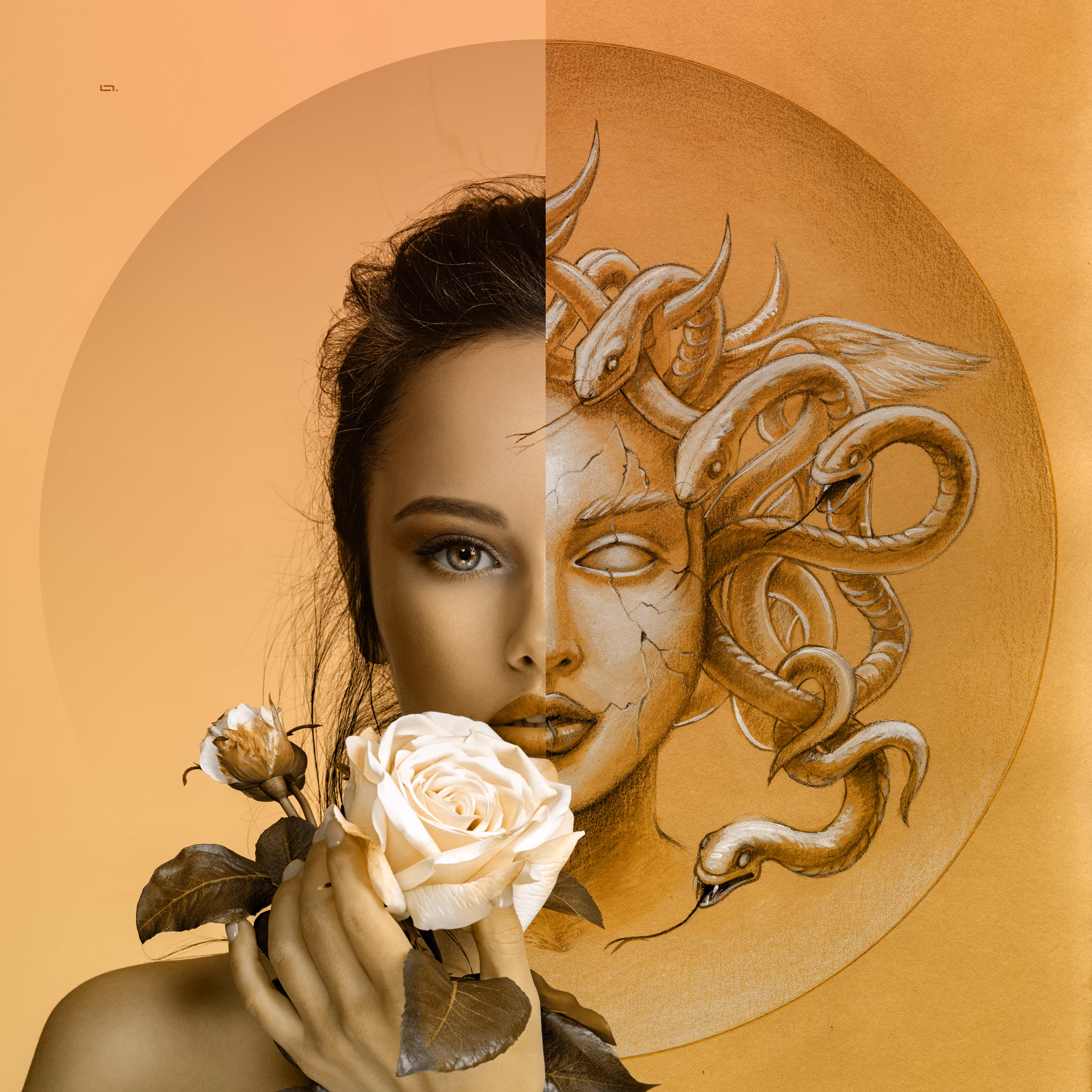Roses and Snakes