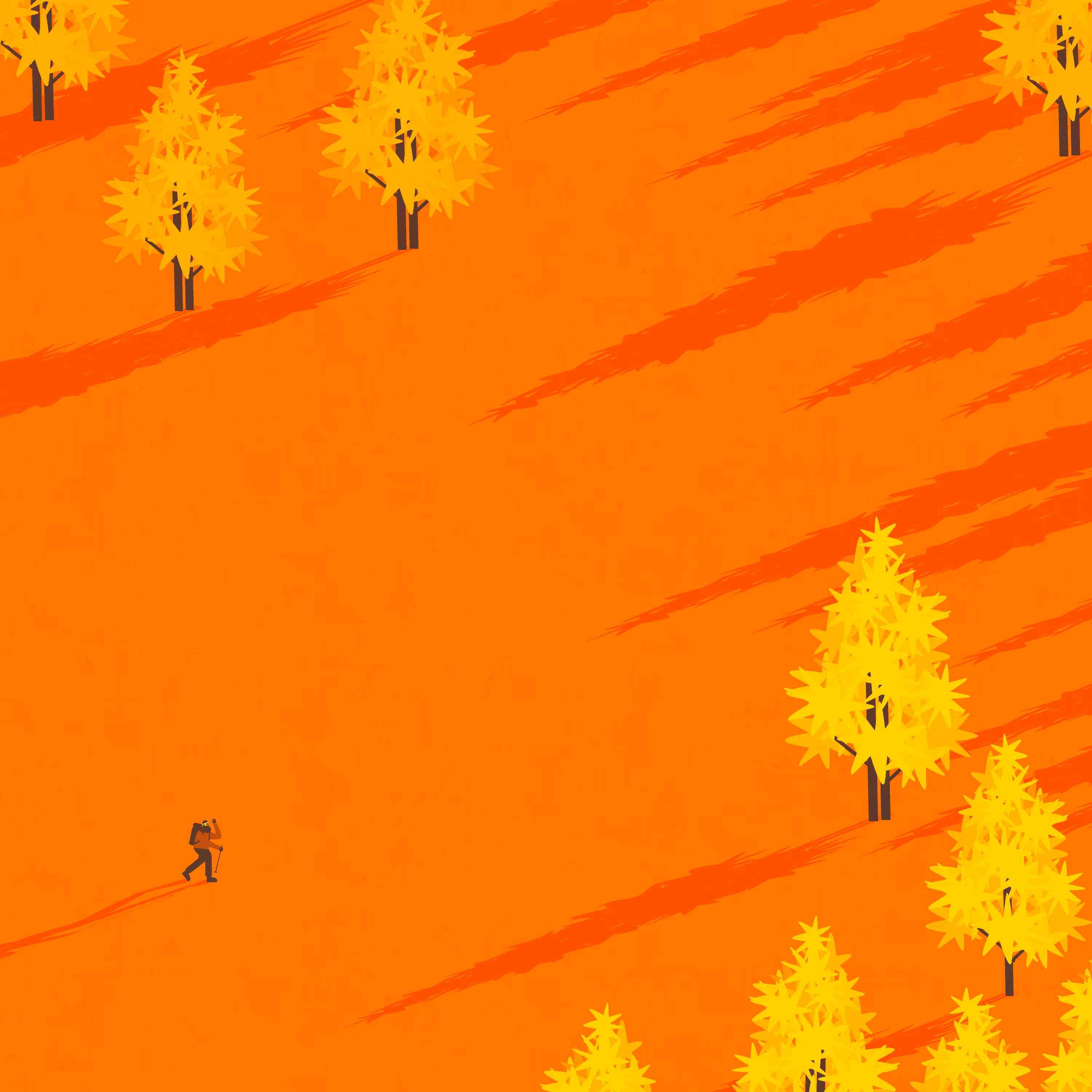 Autumn sunset