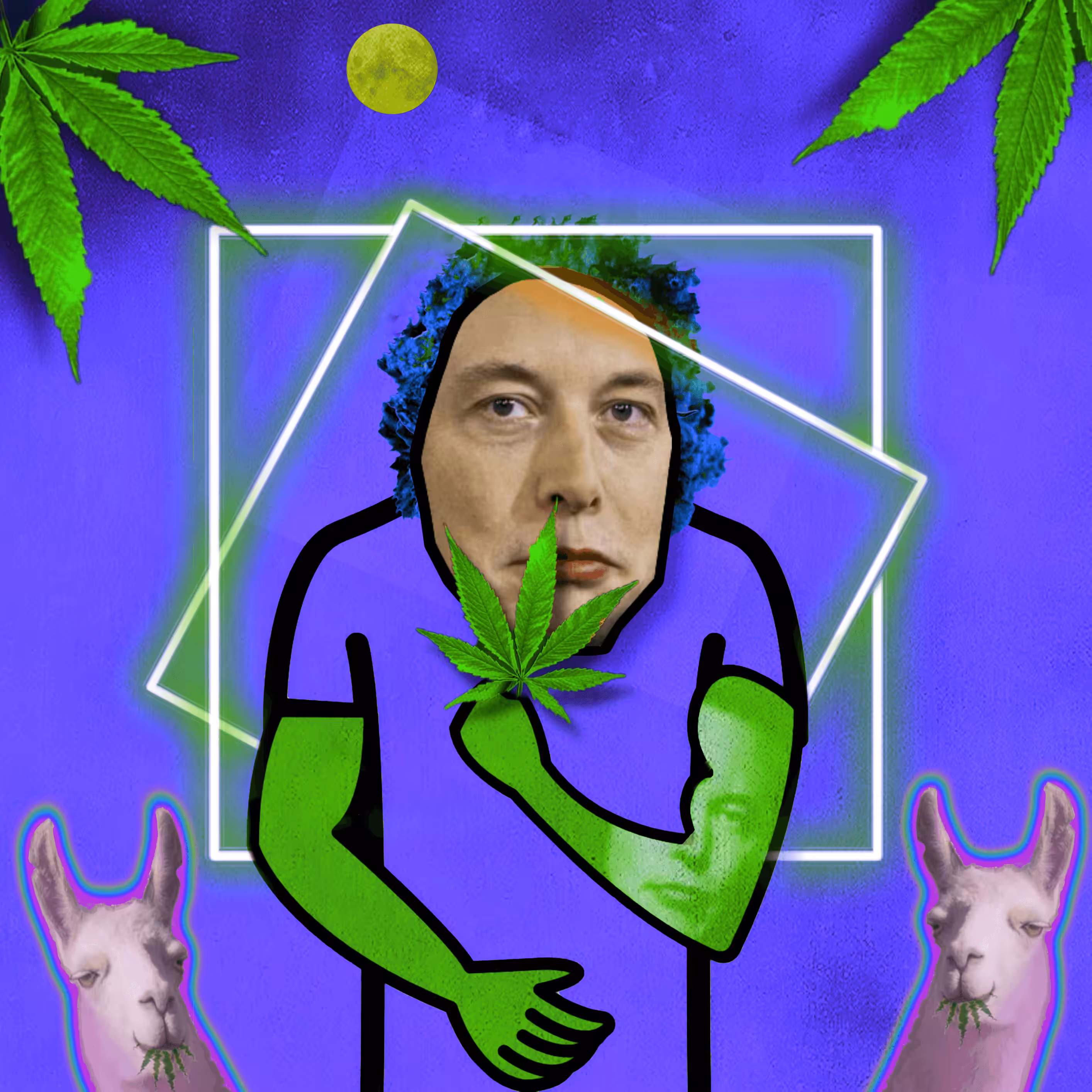 HASHMUSK #127