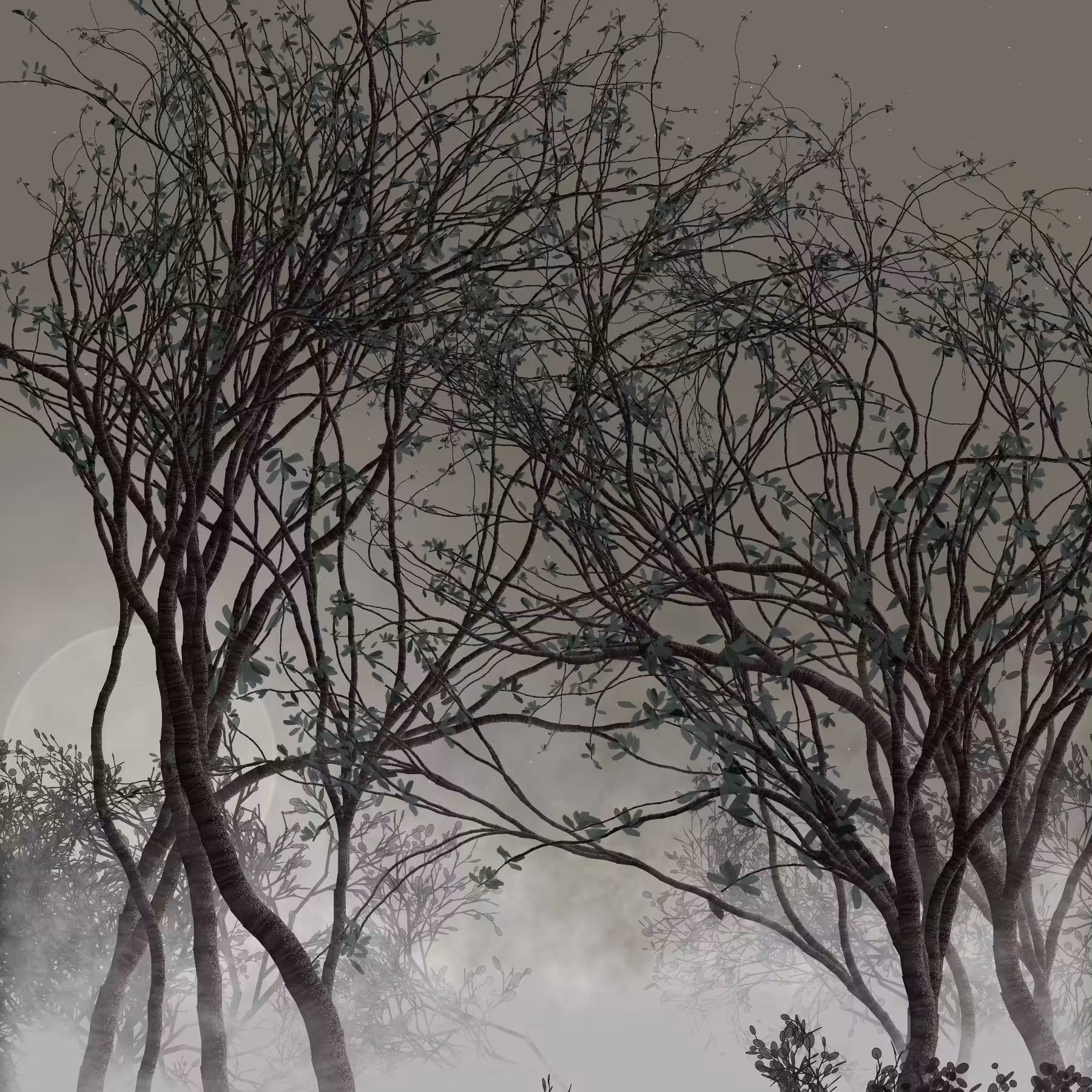 Morning Mist #219