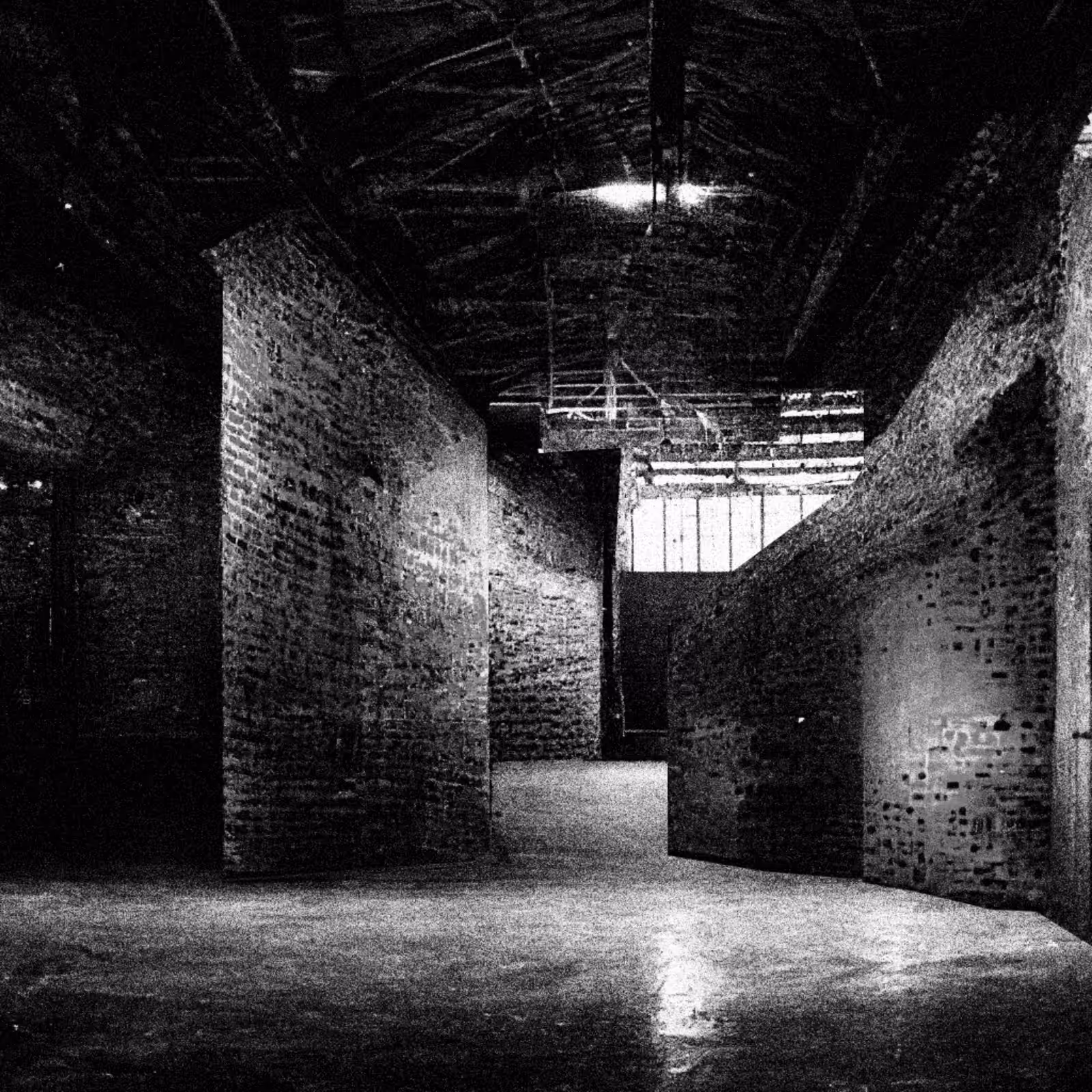 Liminal Newberry #41