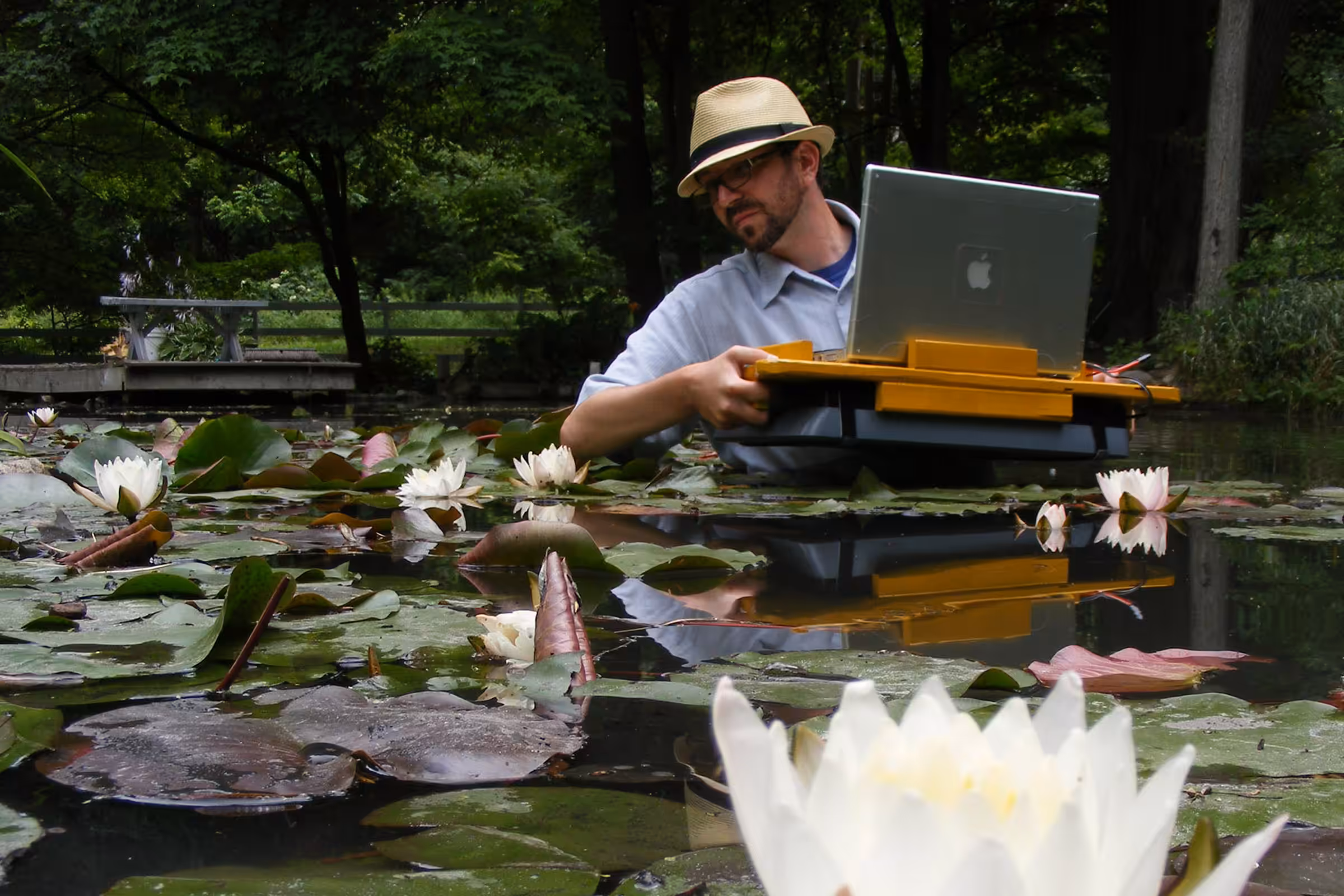 Nathaniel Stern scanning water lilies