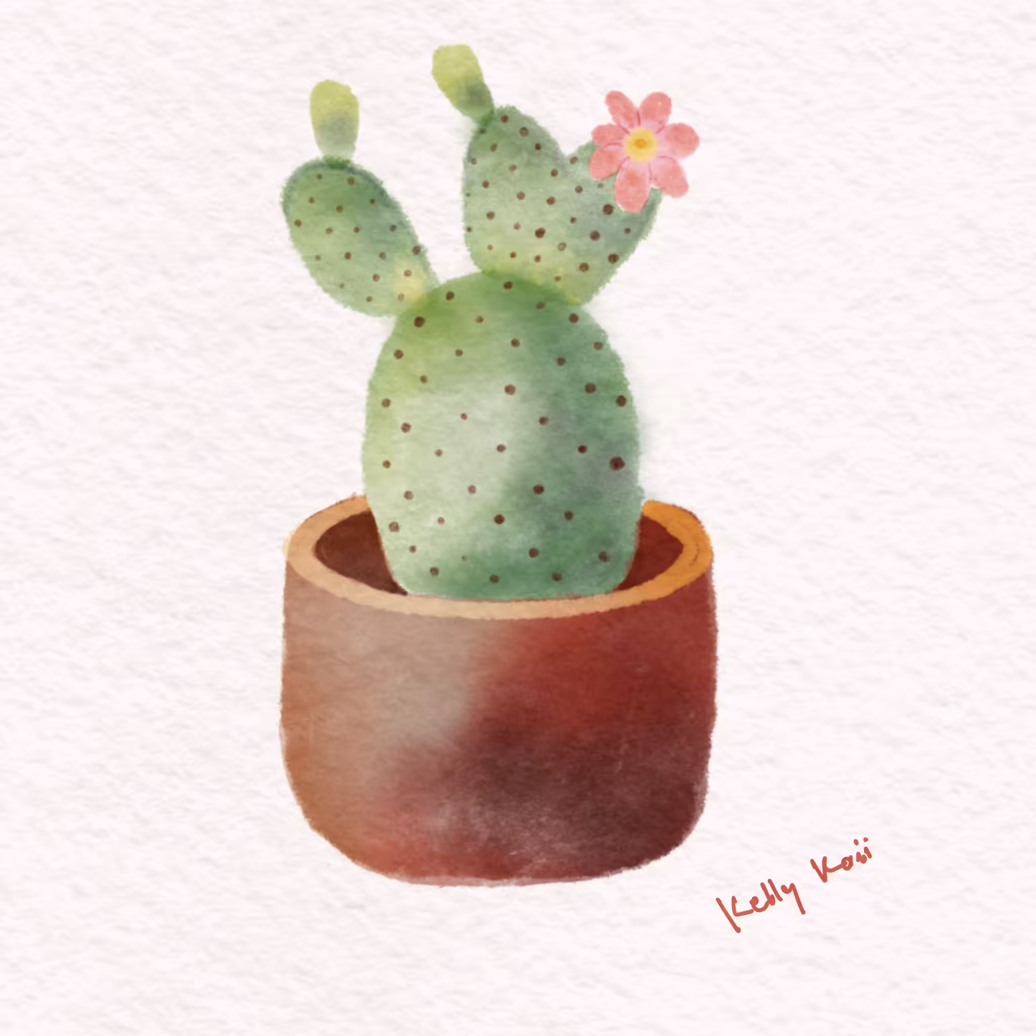 Relax time with Cactus