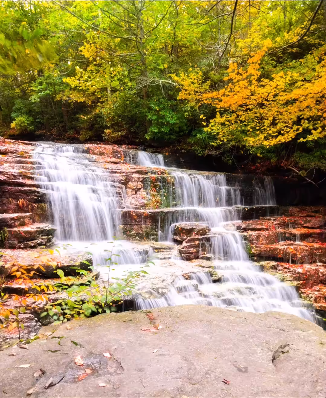 Shades of Autumn