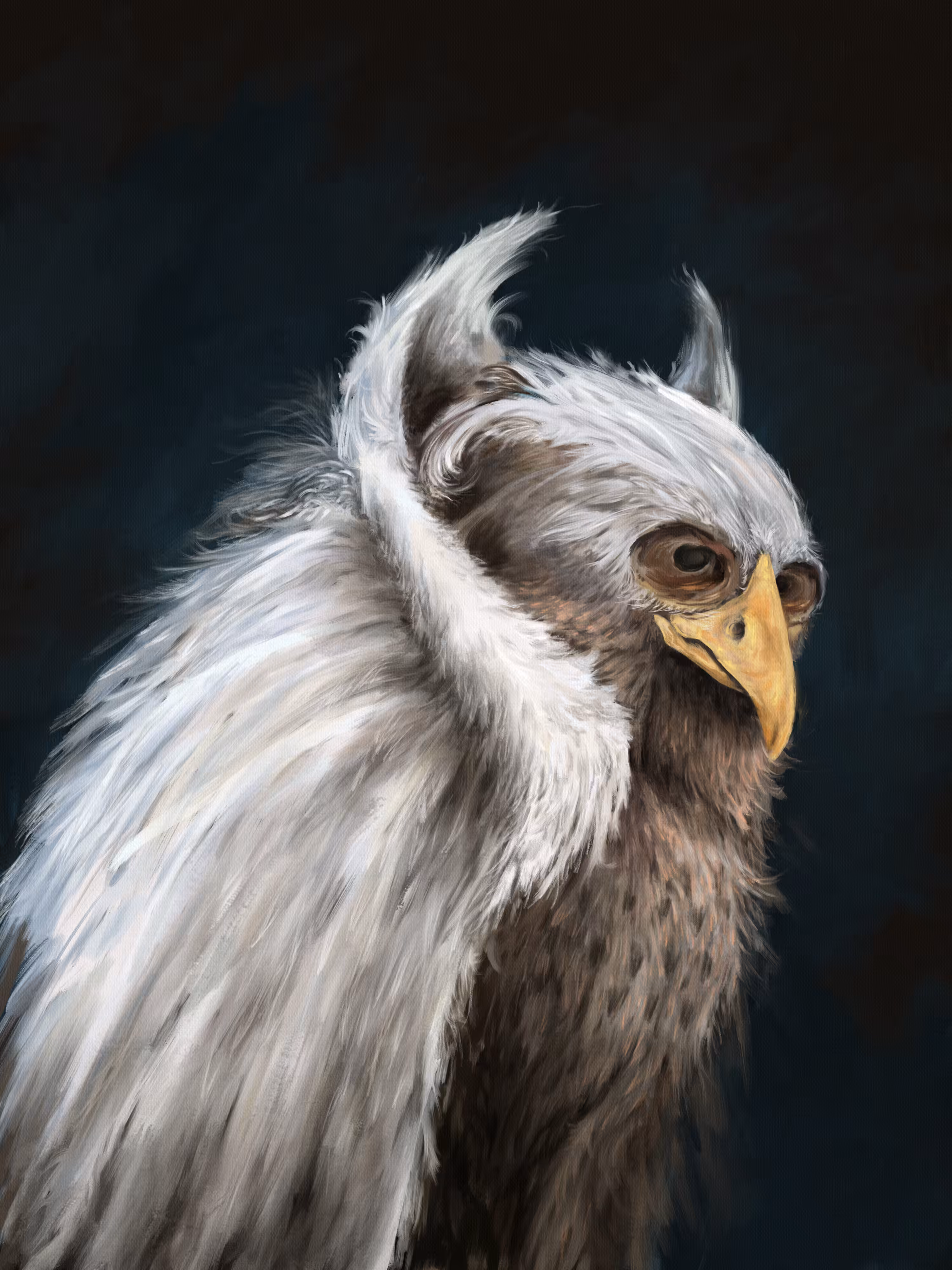 Castrix Saimirin