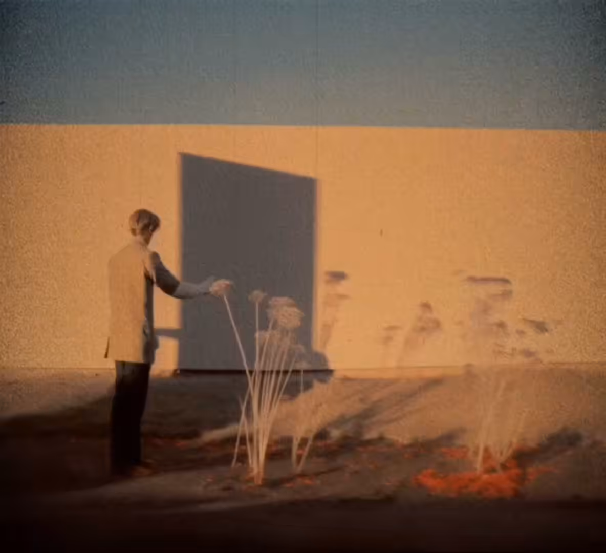 Art of Chaos - Behind the Flowers