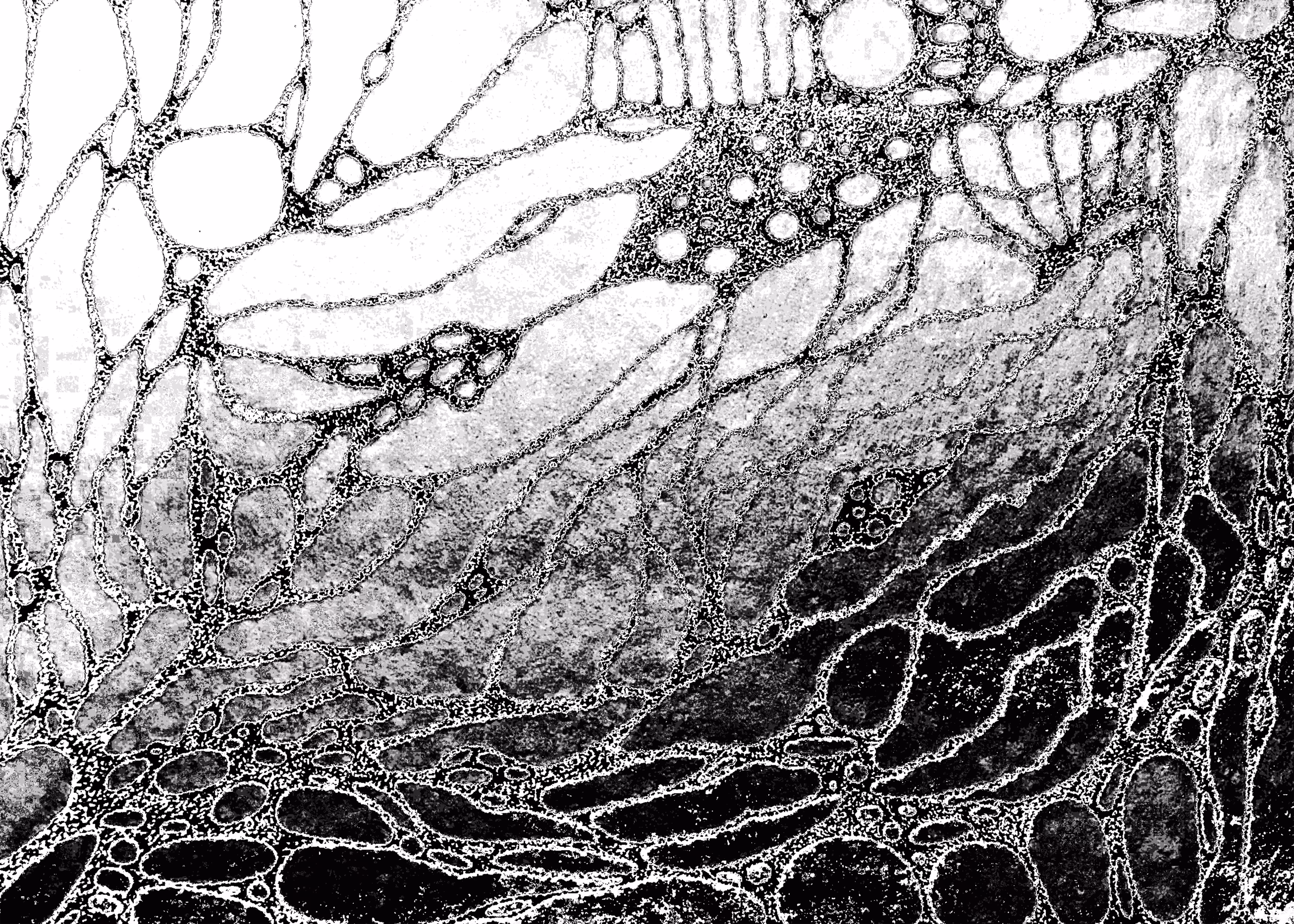 Untitled 00 