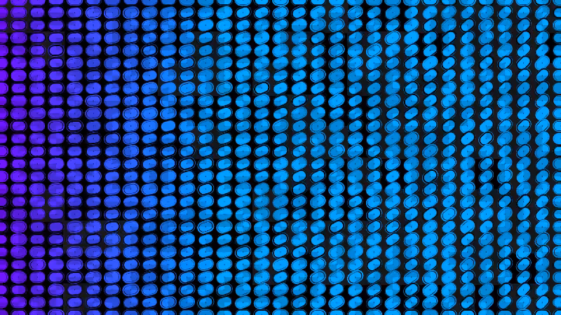 Polka #295