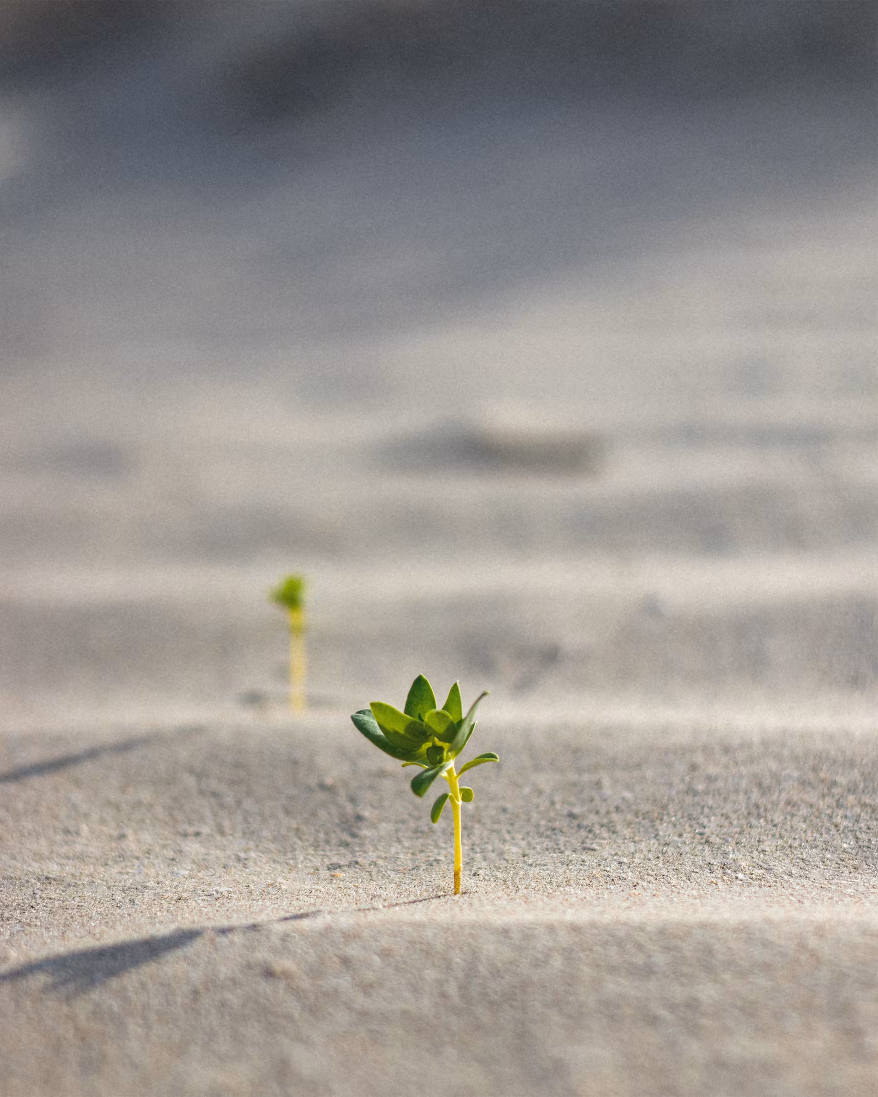 Life after death