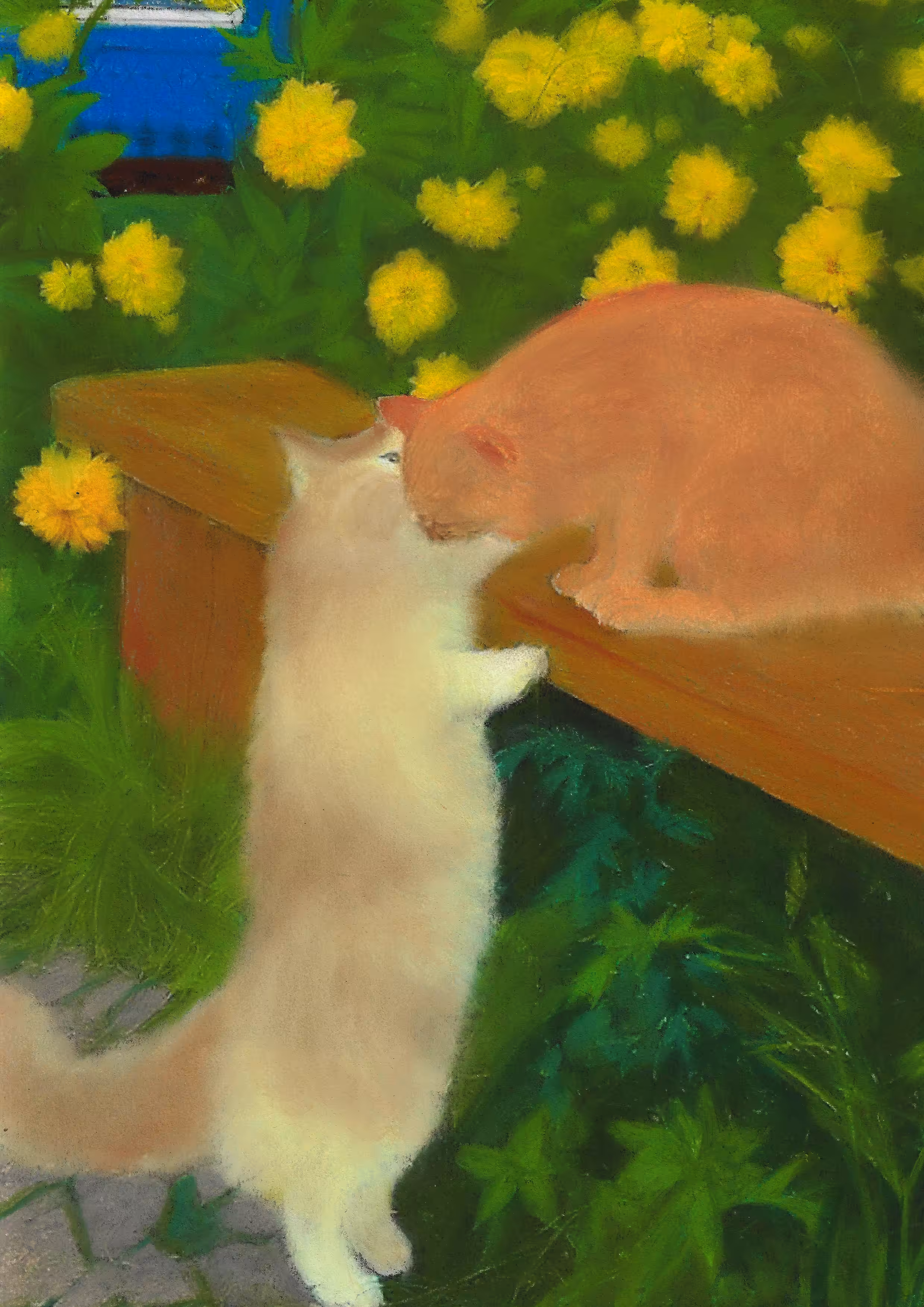 cats&another beautiful pets: Latest news 
