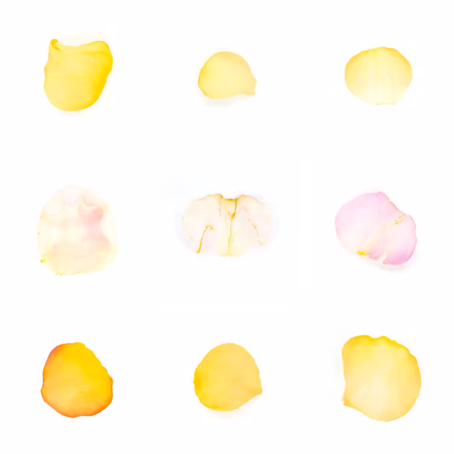 Infinite Petals 3x3#982