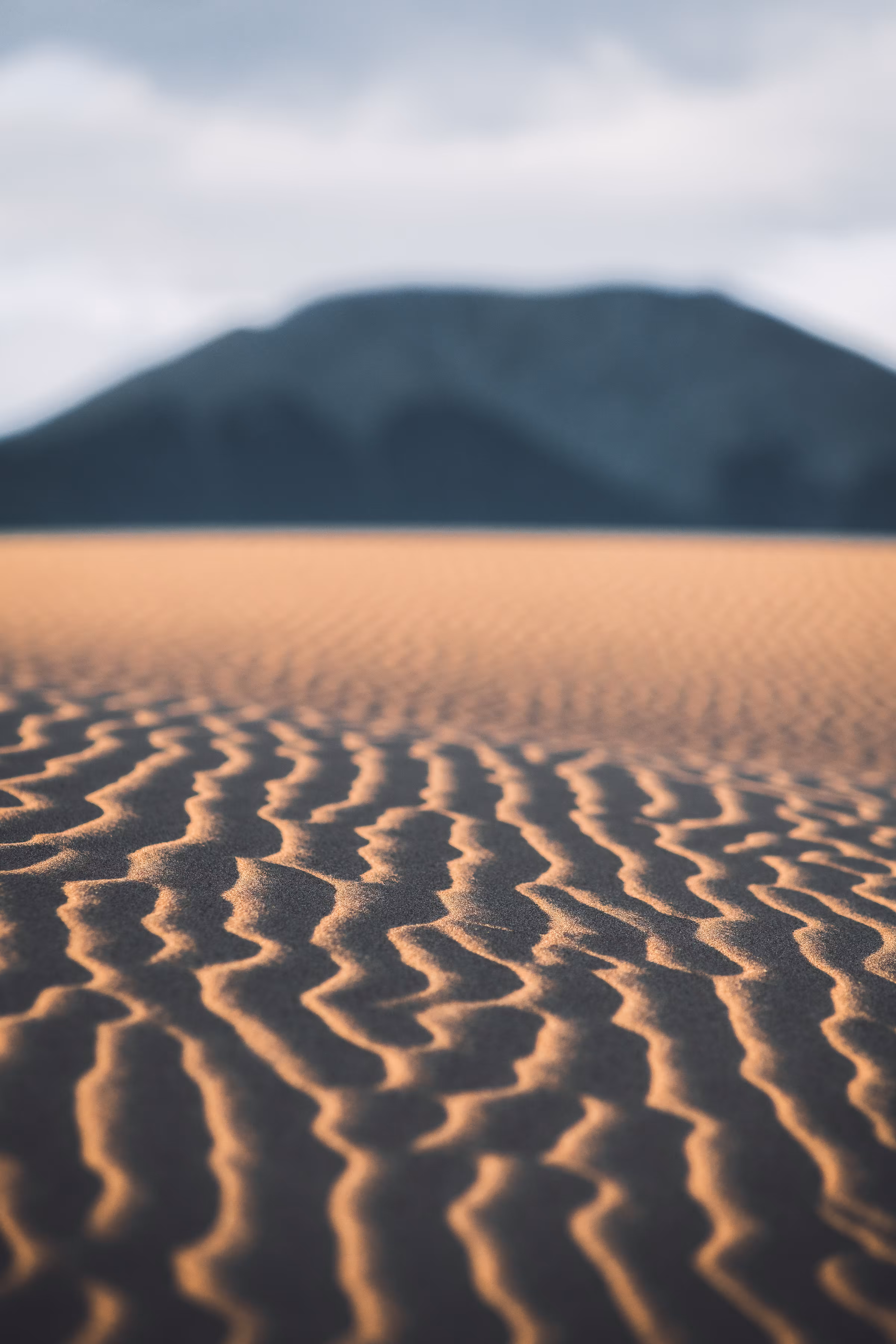 DUNE - 09, flow
