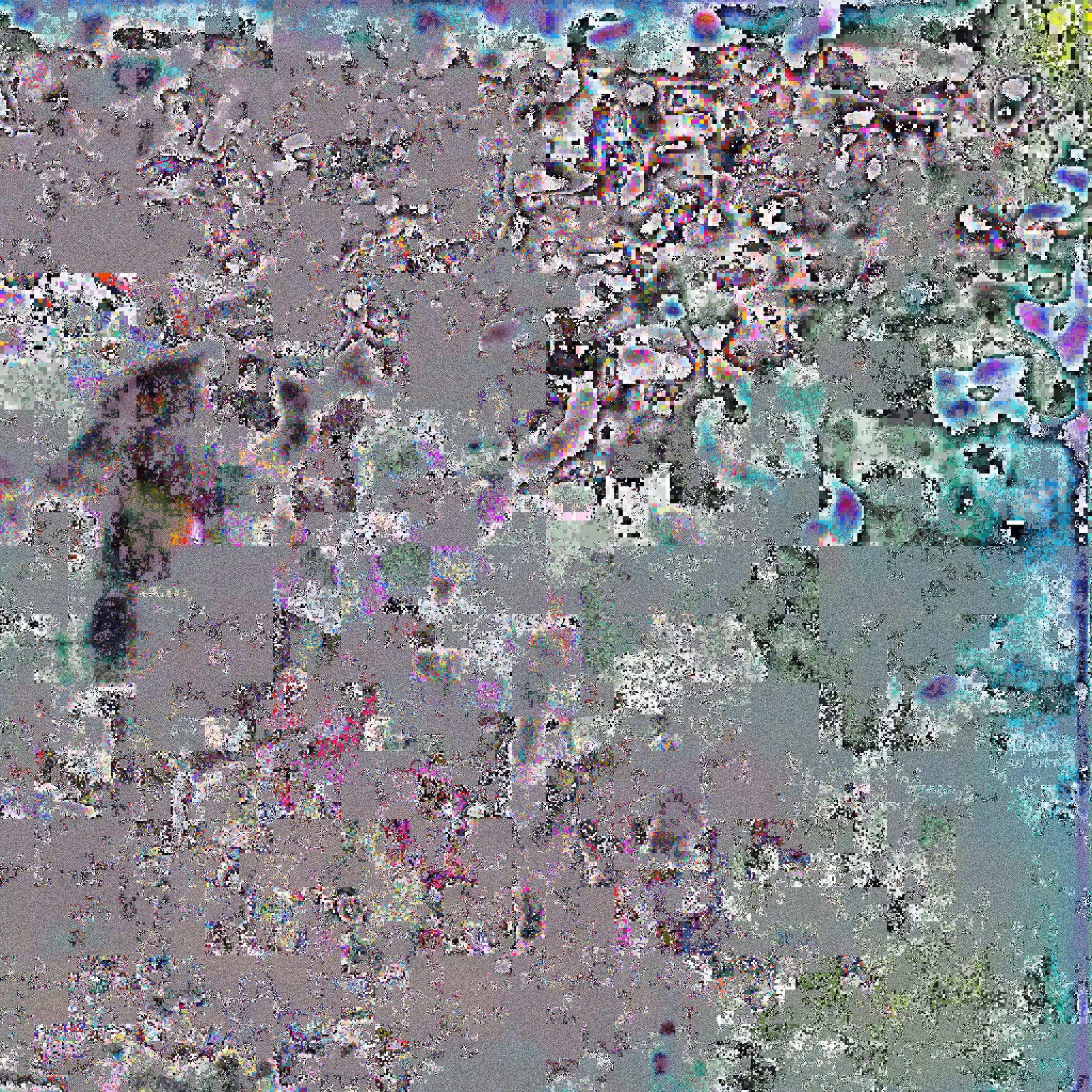 Crowd II