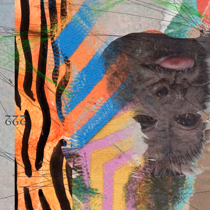 palimpsest #15