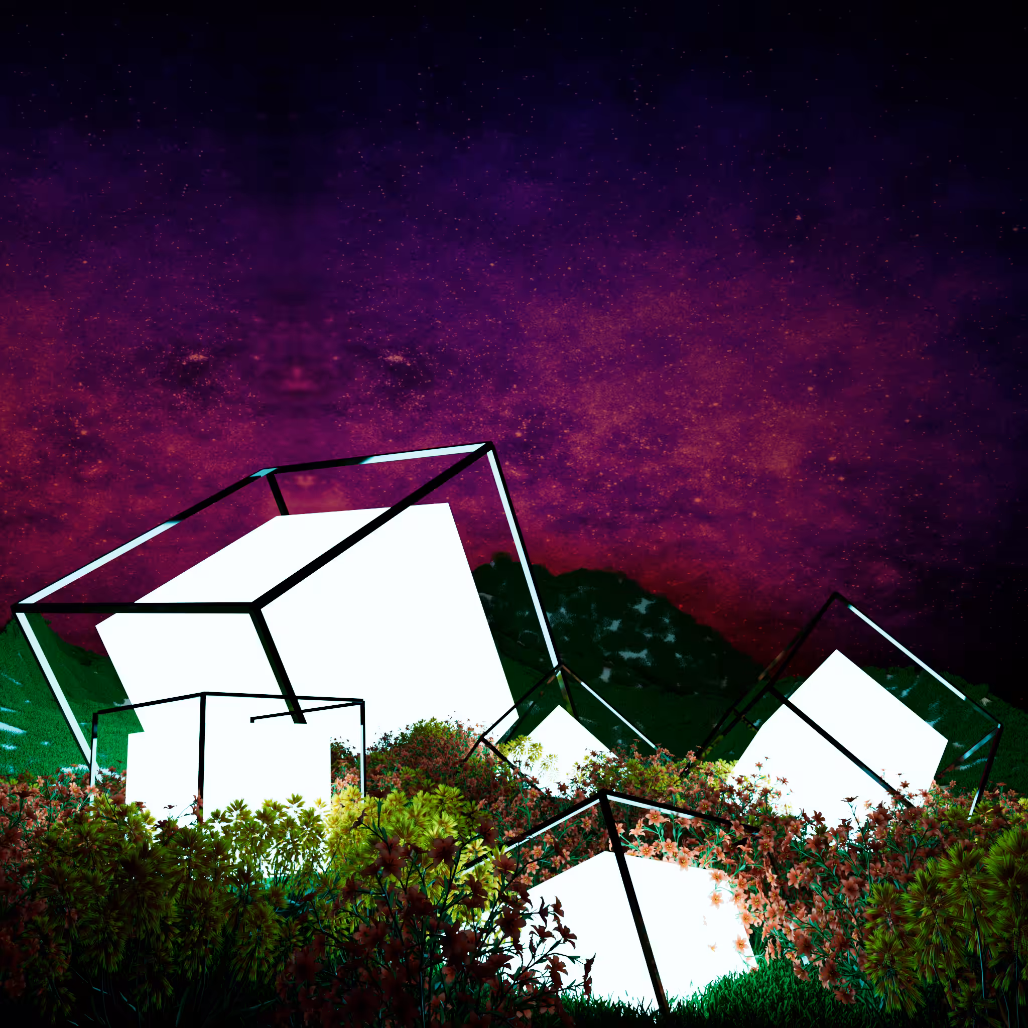 shape #9