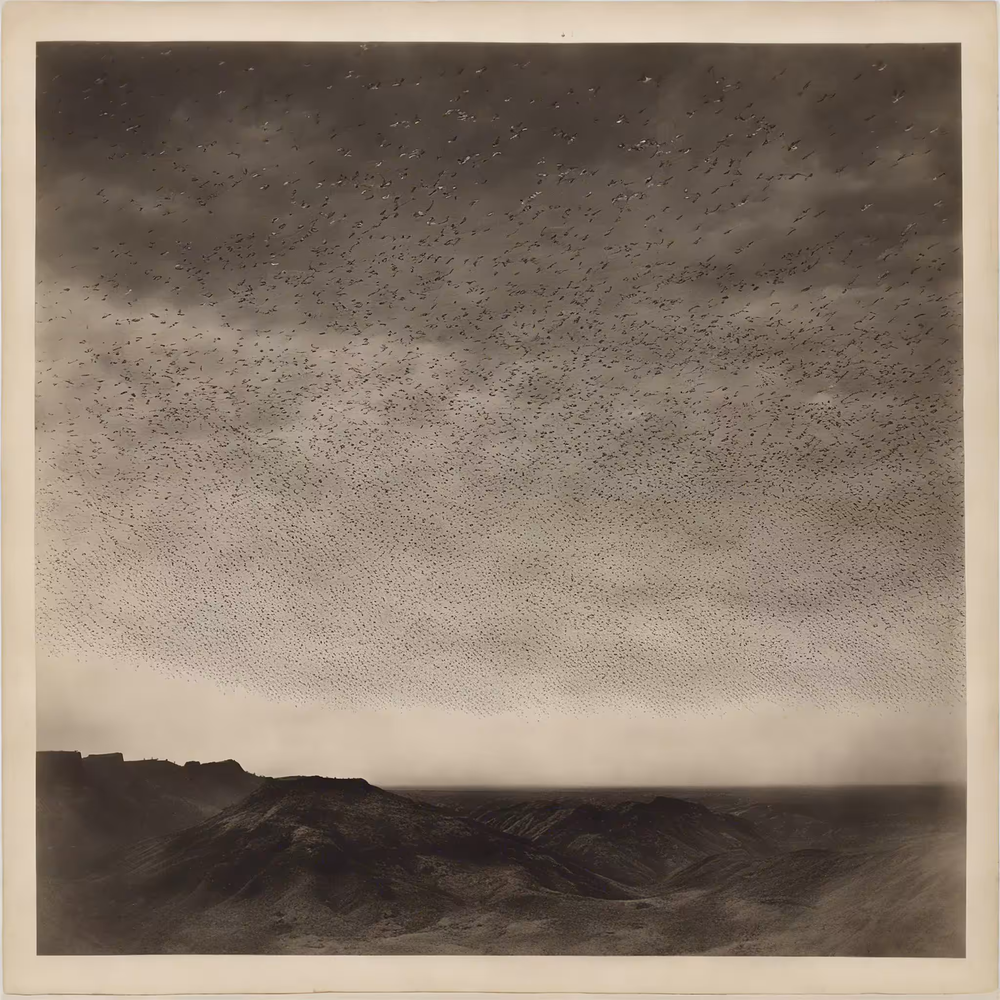 Paradox Post-Photography 210