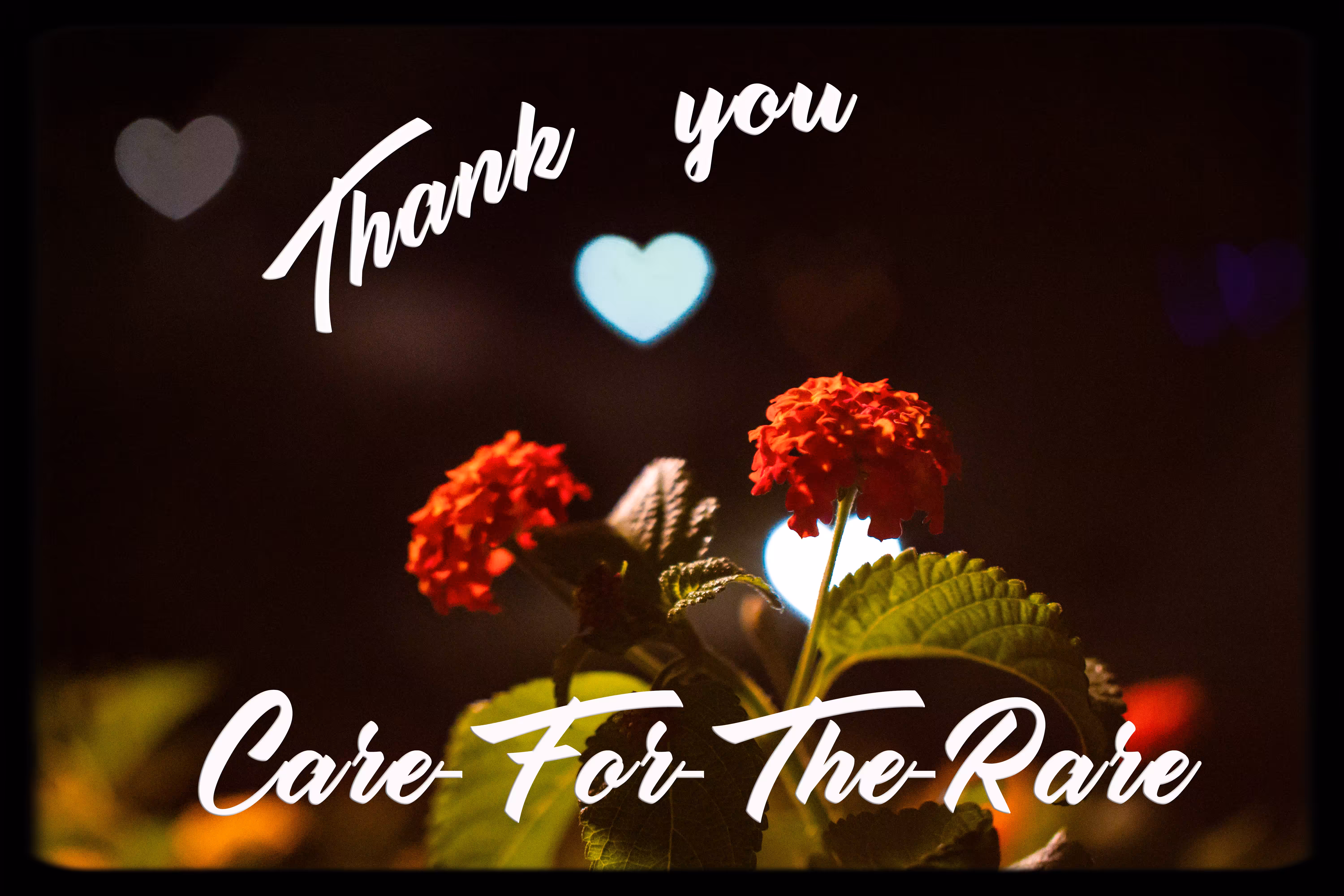Thank You Care-For-The-Rare