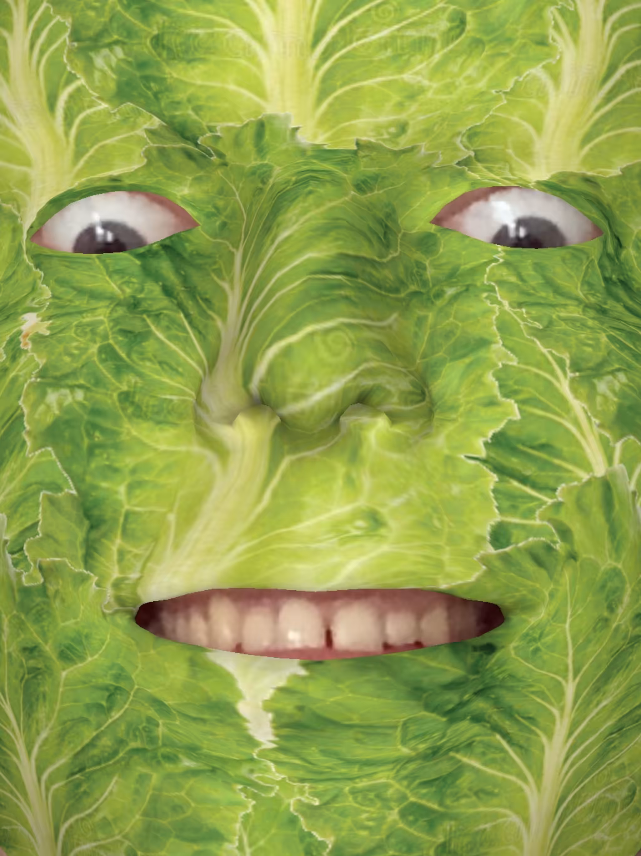 Lettuce Face