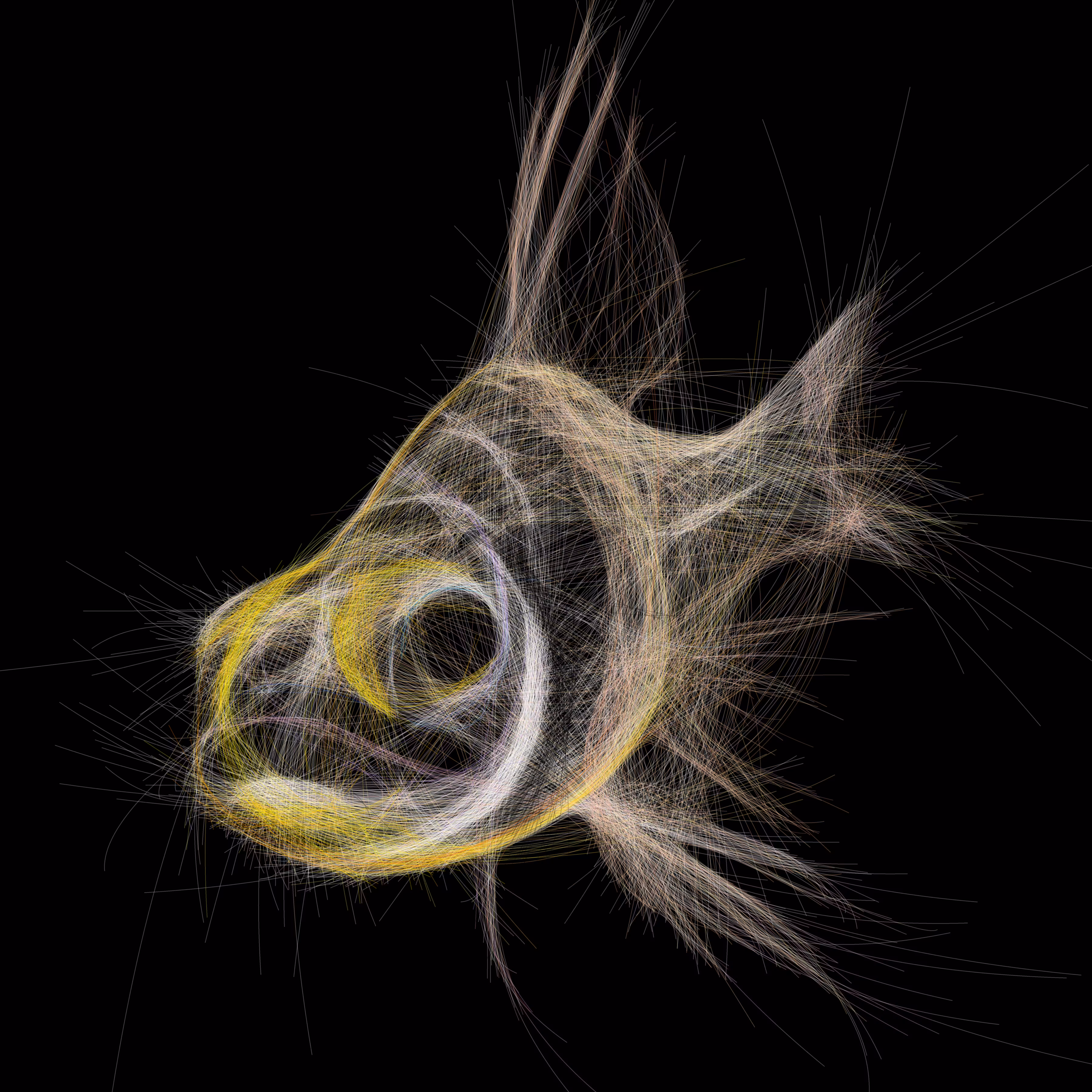 Underwater 213