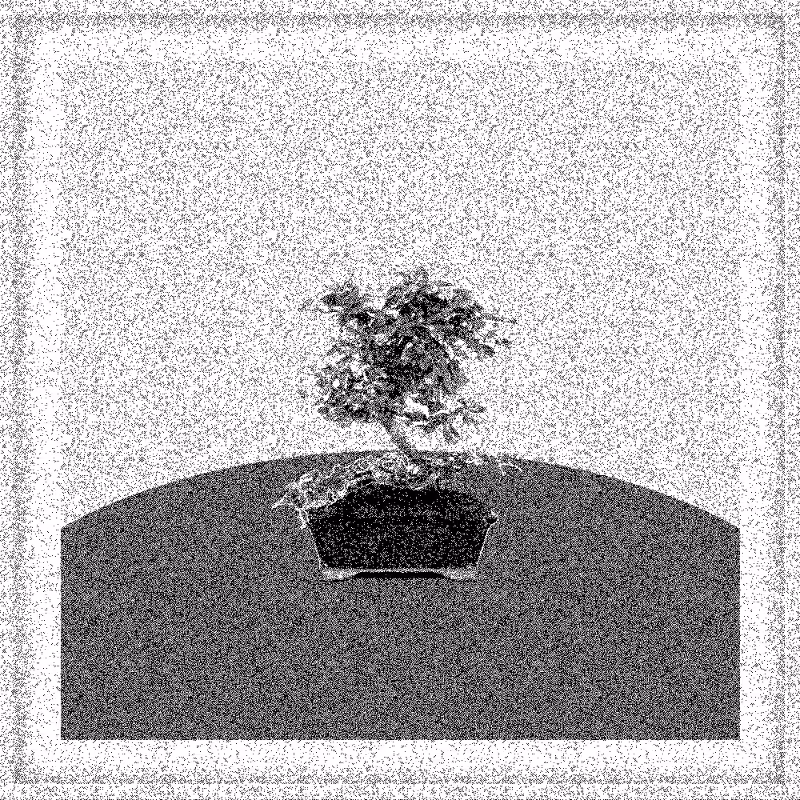 Bonsai Bonanza #106