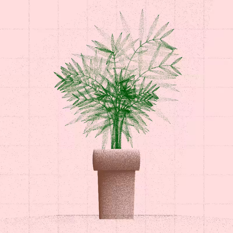 🌱 Potted & Printed #590