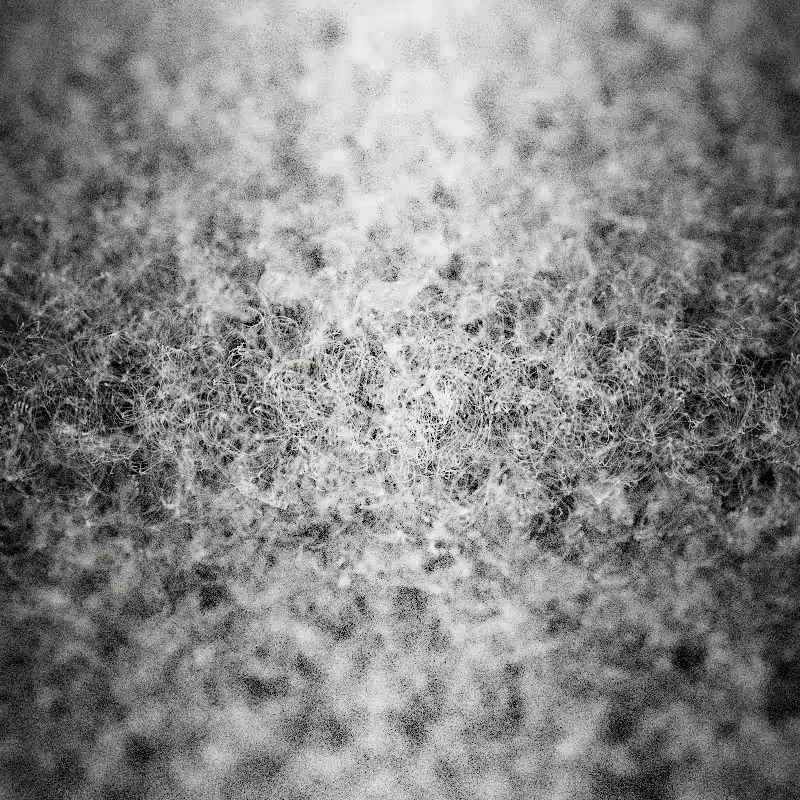 Field of noise #12