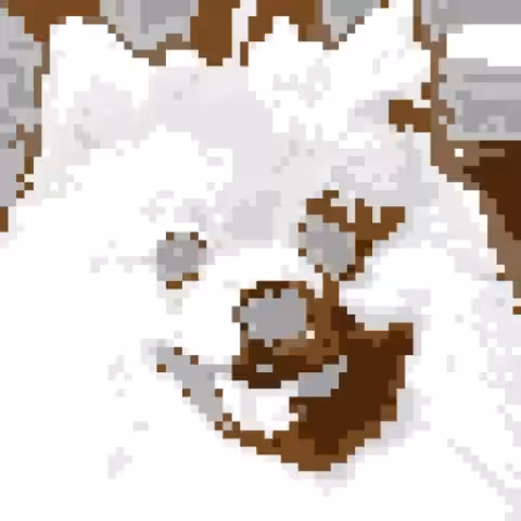 baby dog