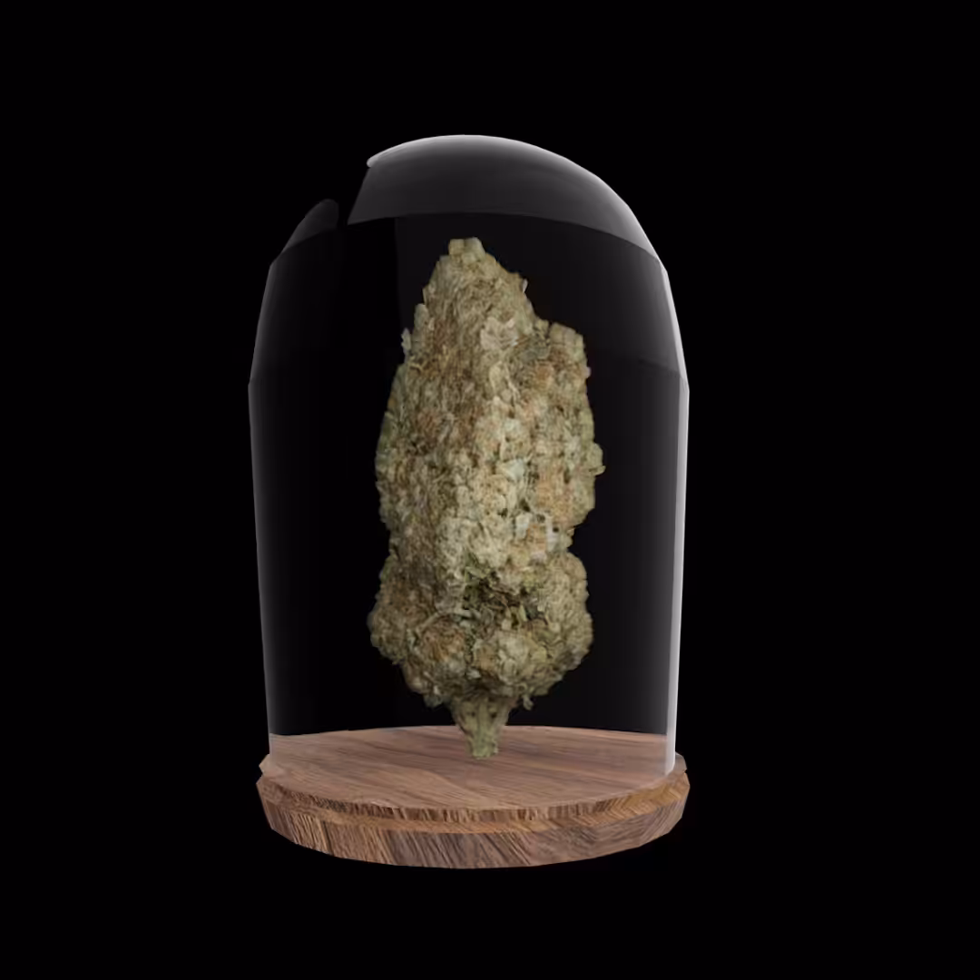 Northern Lights
