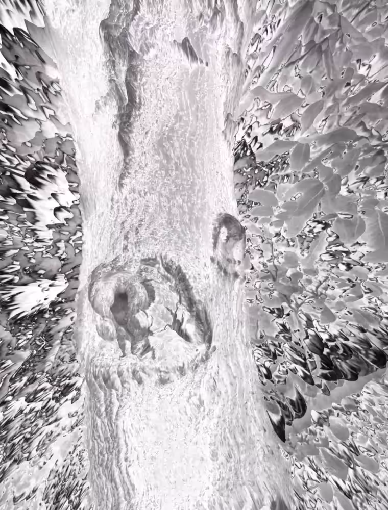 Trees & Leaves (alpha)
