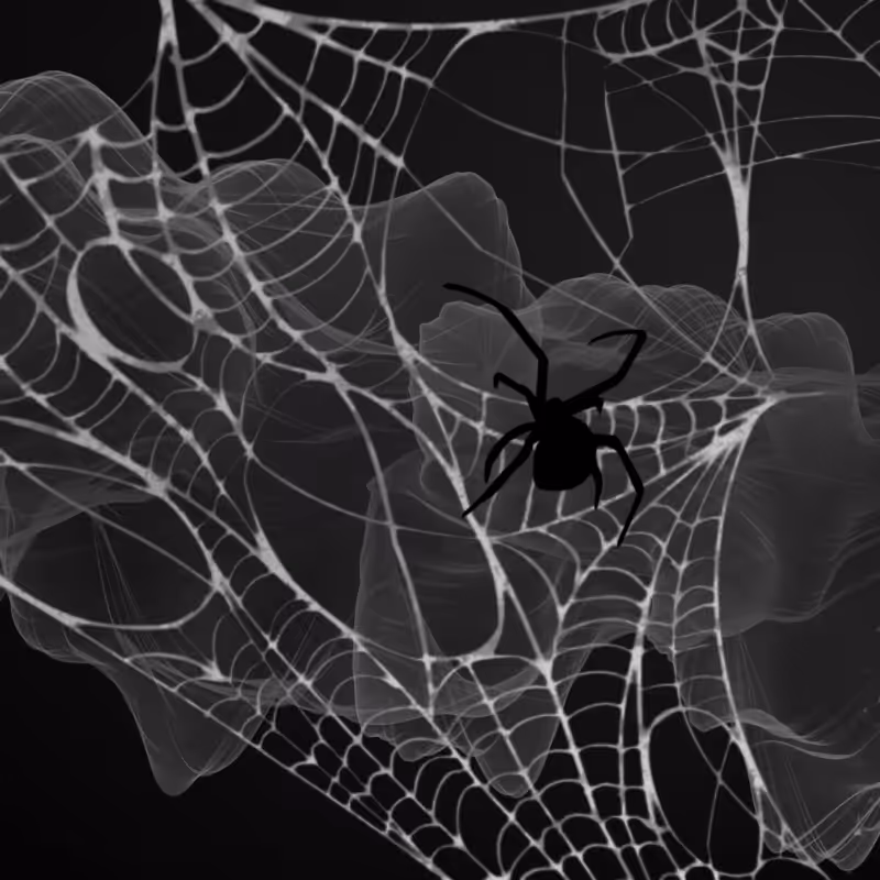 Black Spider #8