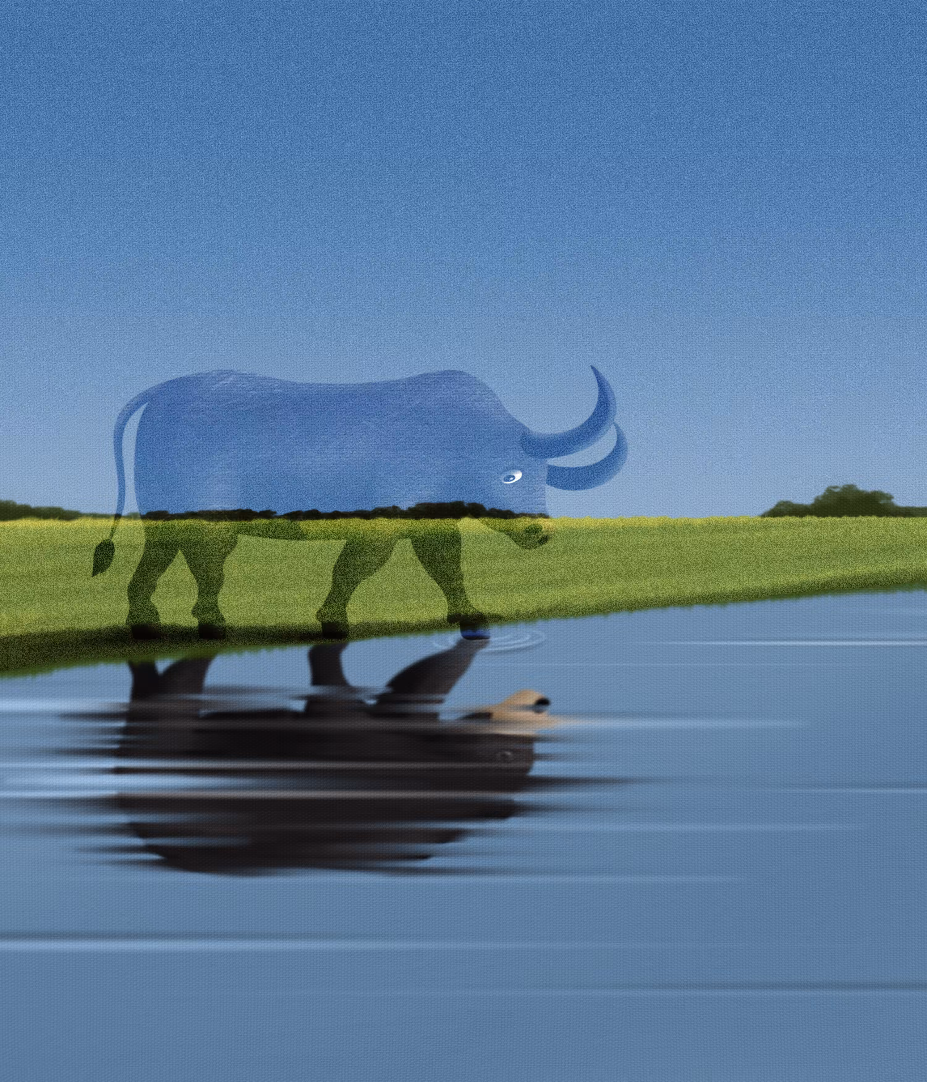 Self Reflection