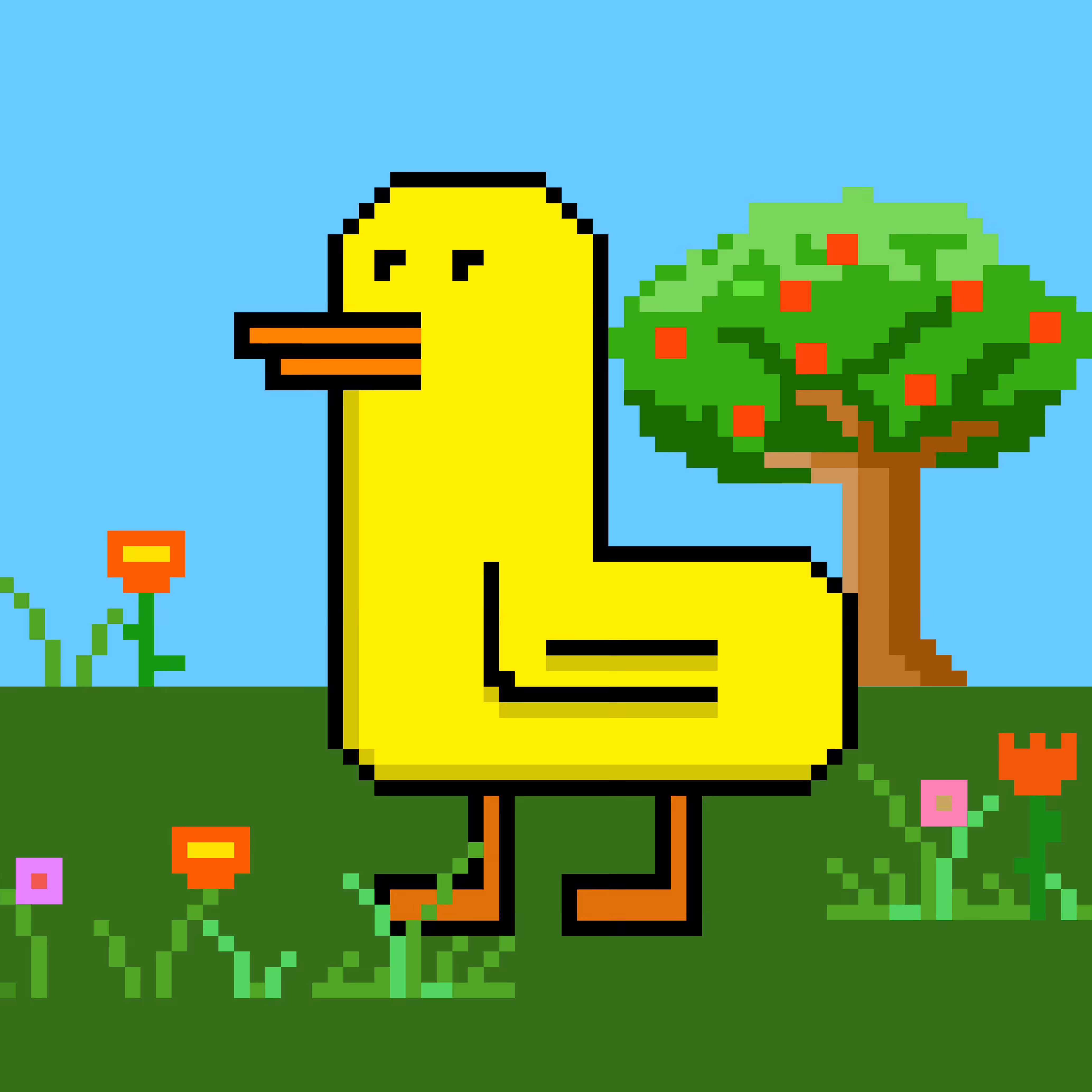 Dude Duck 10