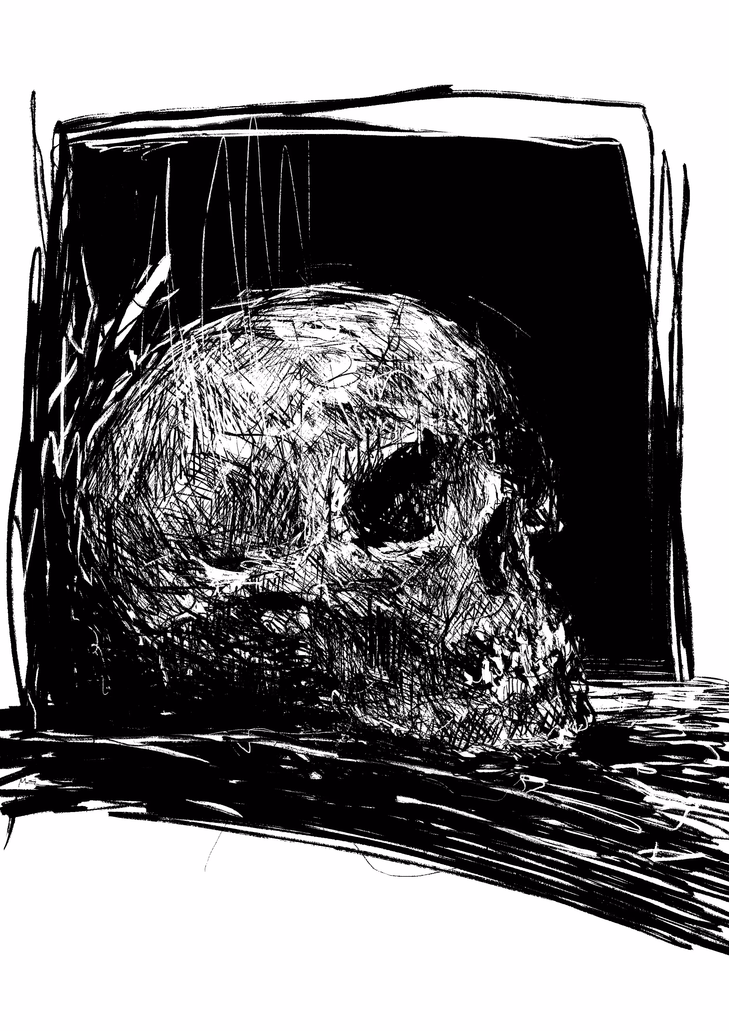 Skull Drawing 3