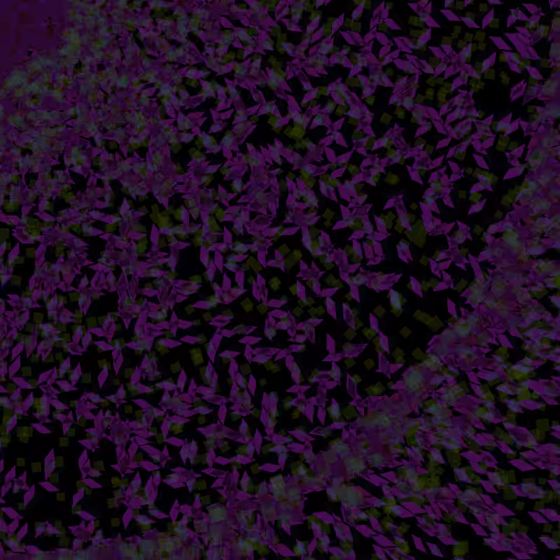 quadStorm #3