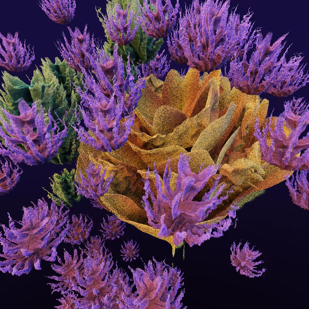 rosarium #28