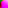 Flowers - Peony